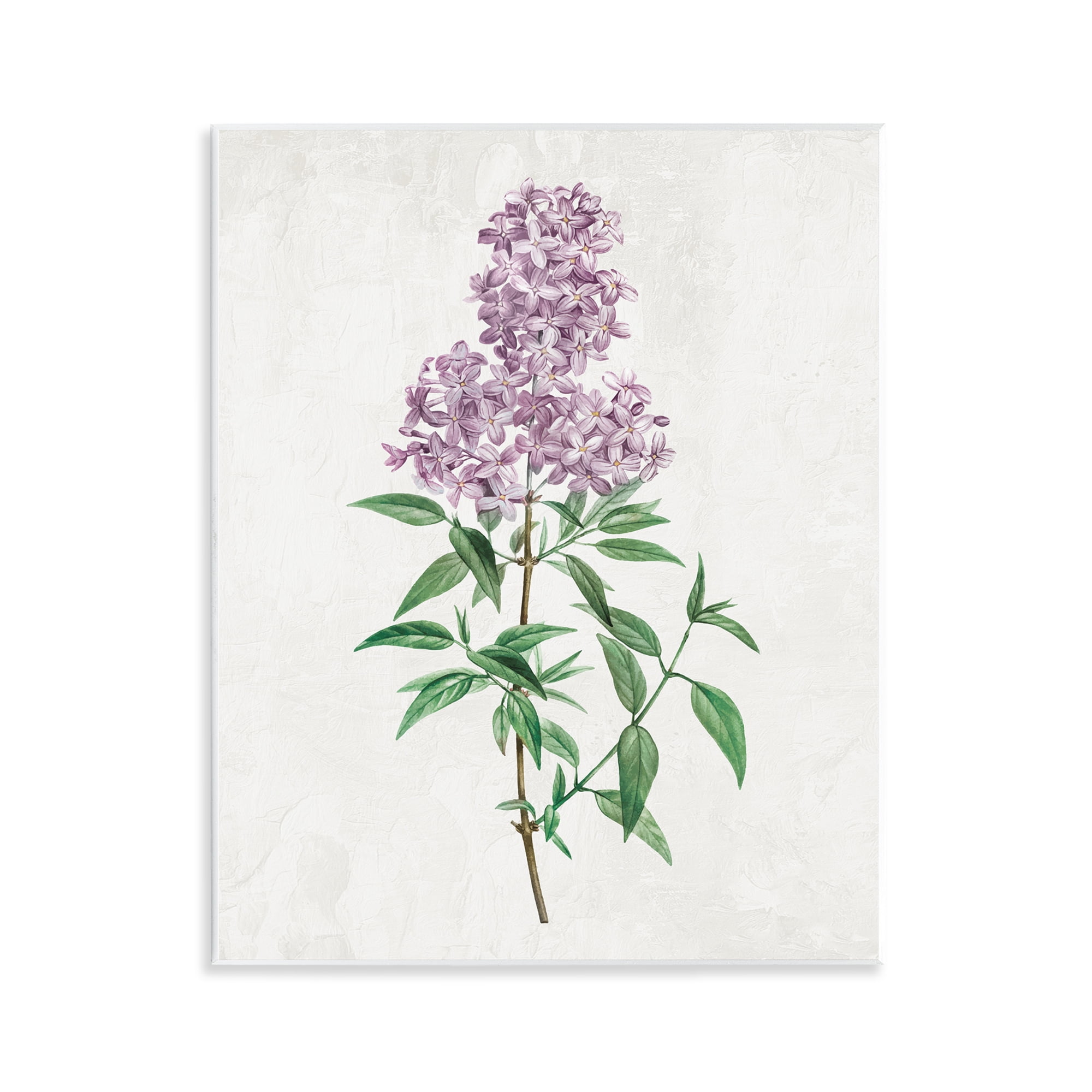 Stupell Industries Lilac Blossoms Blooms Wall Plaque Art, design by Kim Allen