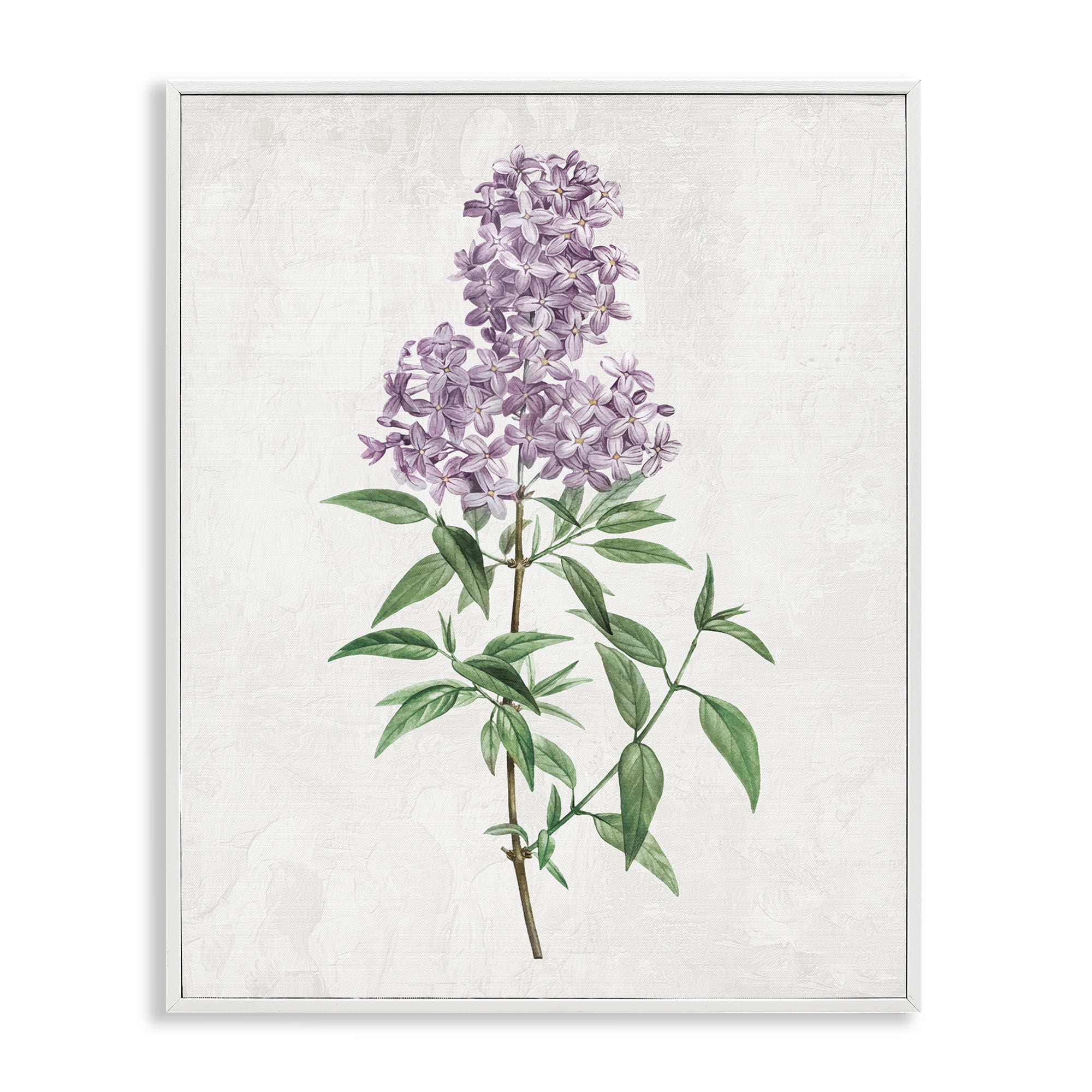 Stupell Industries Lilac Blossoms Blooms White Framed Giclee Art, design by Kim Allen