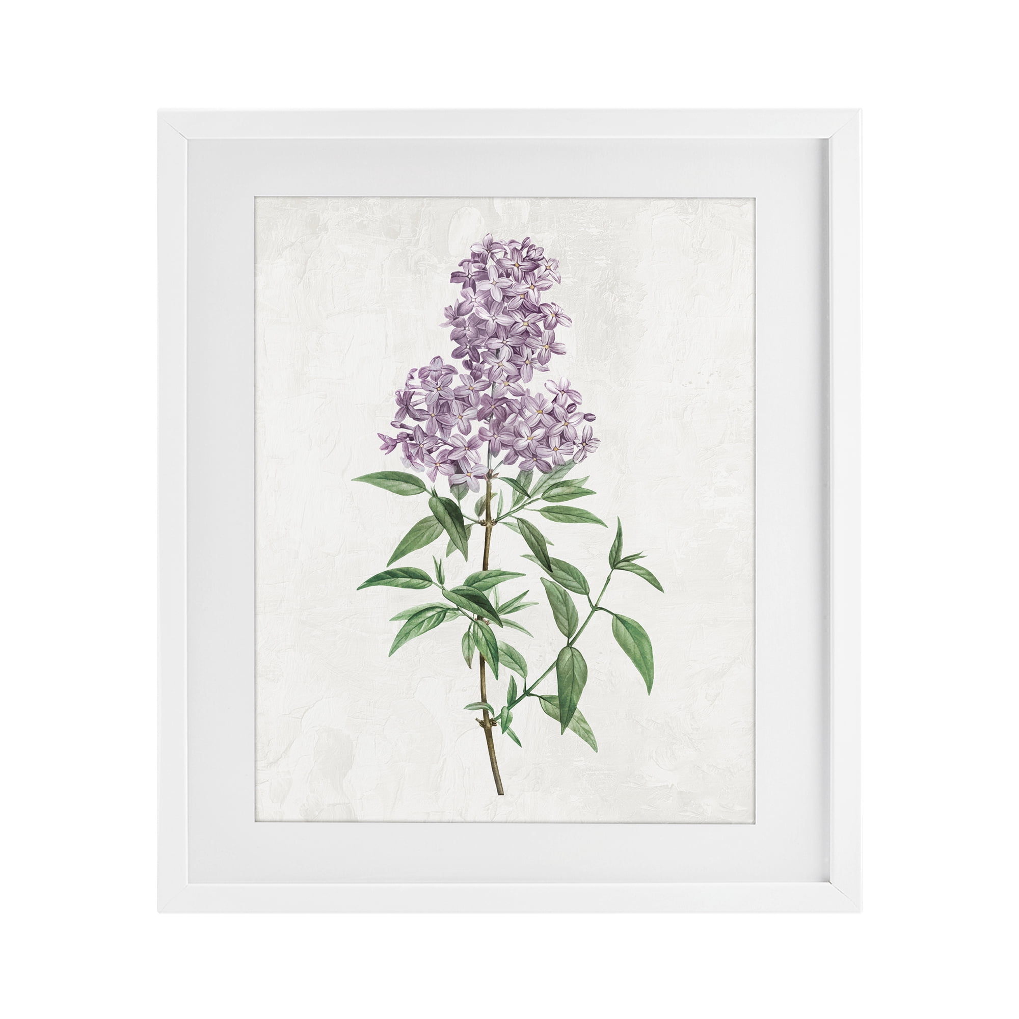Stupell Industries Lilac Blossoms Blooms White Framed Print Under Glass, design by Kim Allen
