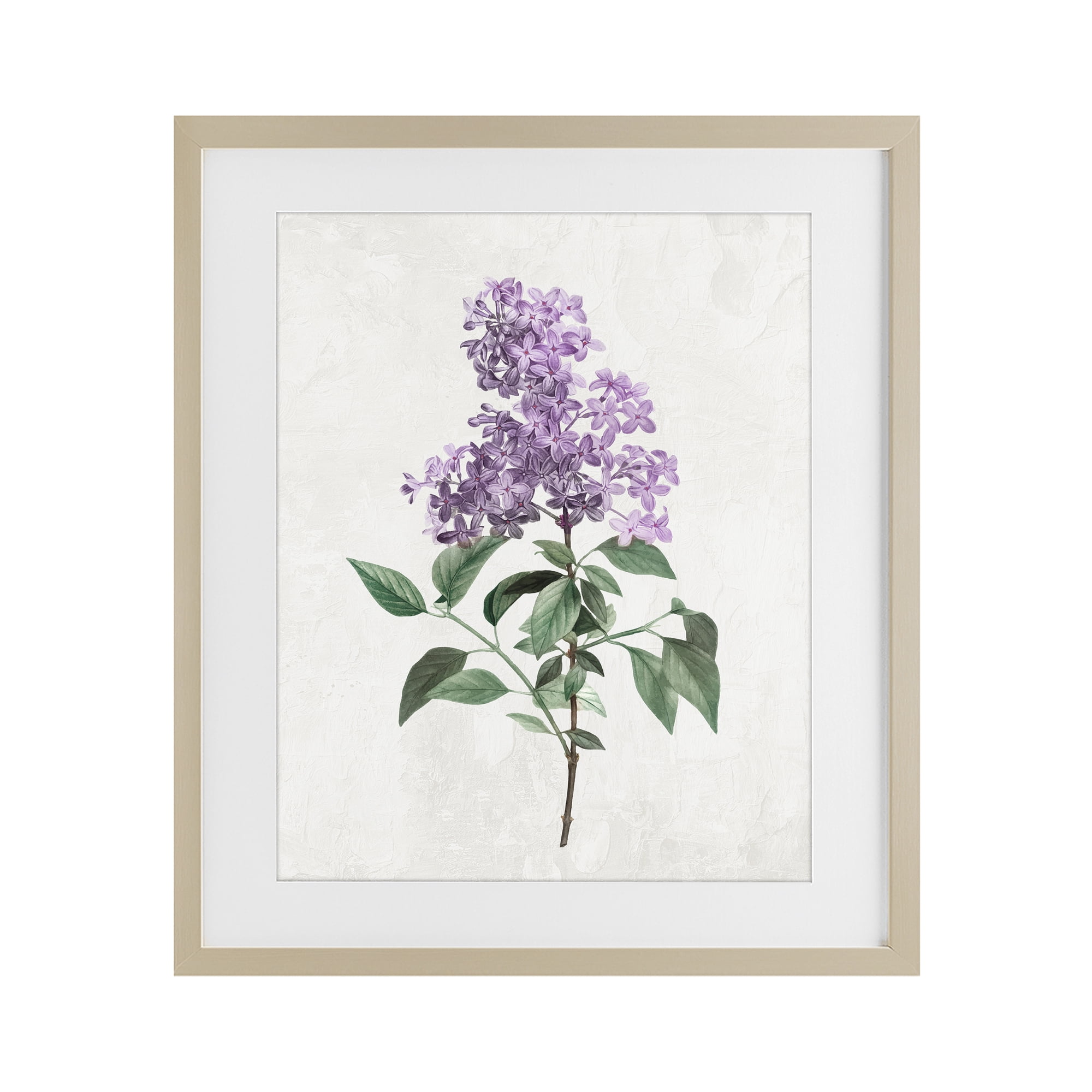 Stupell Industries Lilac Herb Blossoms Birch Framed Print Under Glass, design by Kim Allen