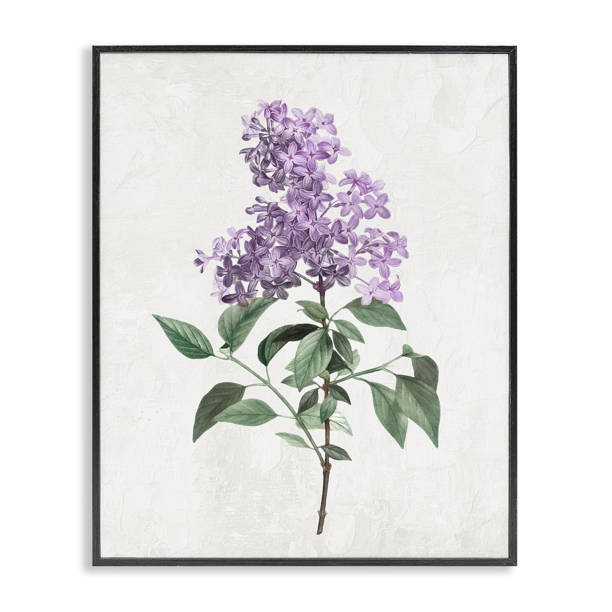 Stupell Industries Lilac Herb Blossoms Black Framed Giclee Art, design by Kim Allen