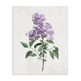 thumbnail image 1 of Stupell Industries Transitional Lilac Herb Blossoms Canvas Art, 16 x 20, by Kim Allen, 1 of 8