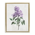 thumbnail image 1 of Stupell Industries Transitional Lilac Herb Blossoms Gold Floating Frame Canvas Art, 17 x 21, by Kim Allen, 1 of 8