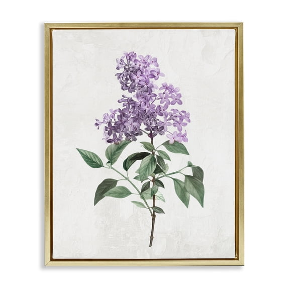 Stupell Industries Transitional Lilac Herb Blossoms Gold Floating Frame Canvas Art, 17 x 21, by Kim Allen