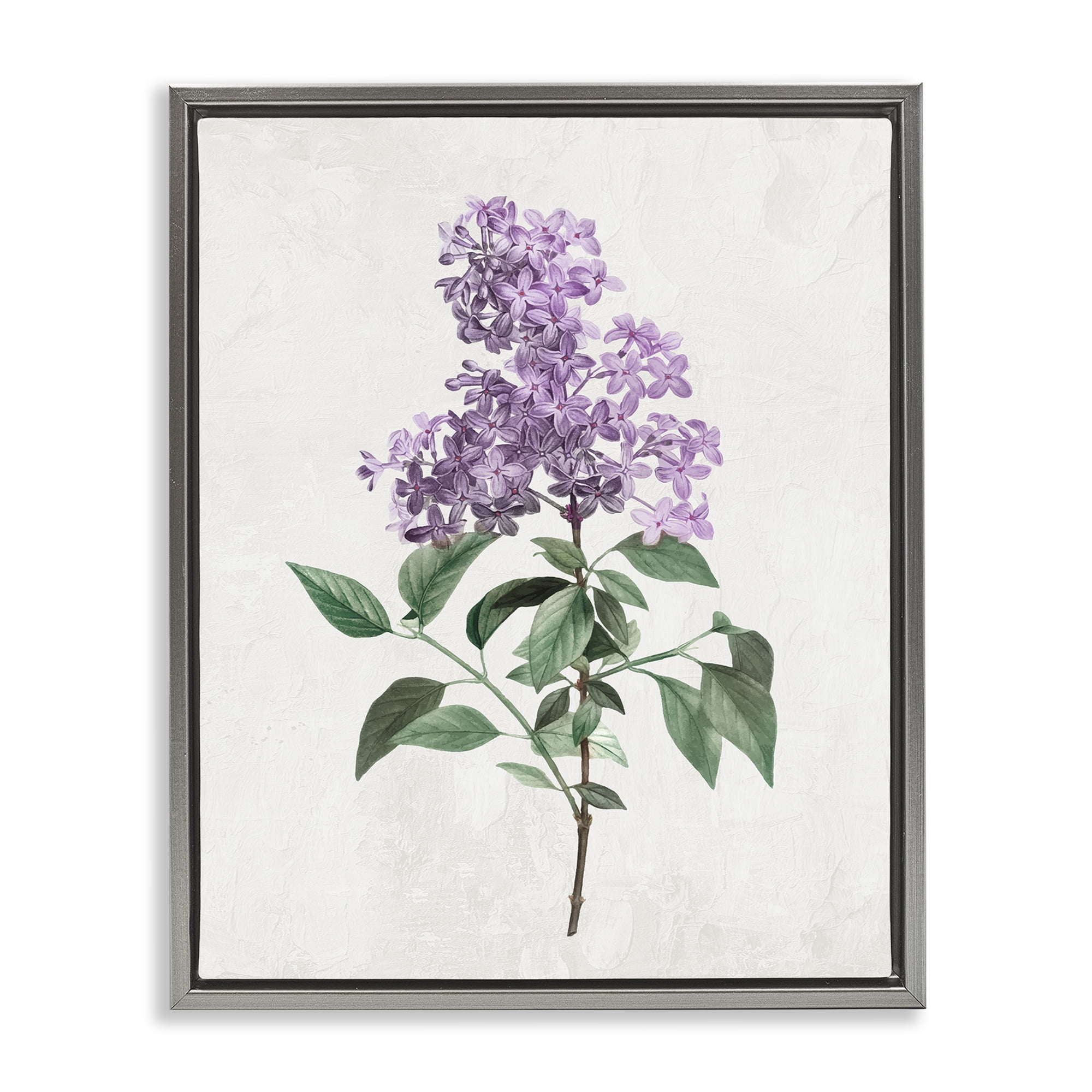 Stupell Industries Lilac Herb Blossoms Gray Framed Floater Canvas Wall Art, design by Kim Allen