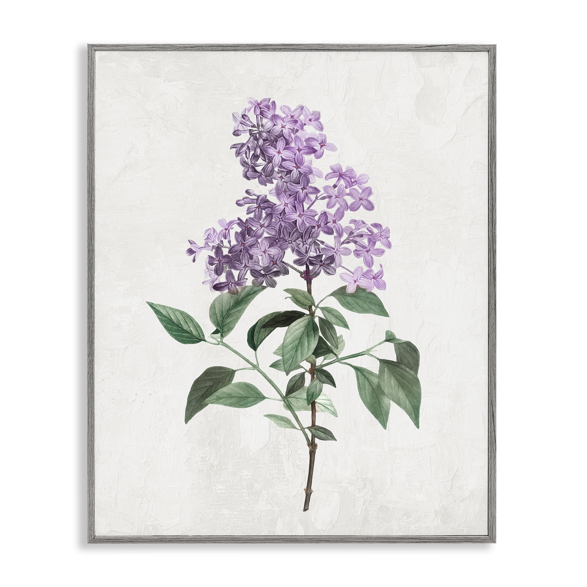 Stupell Industries Lilac Herb Blossoms Gray Framed Giclee Art, design by Kim Allen