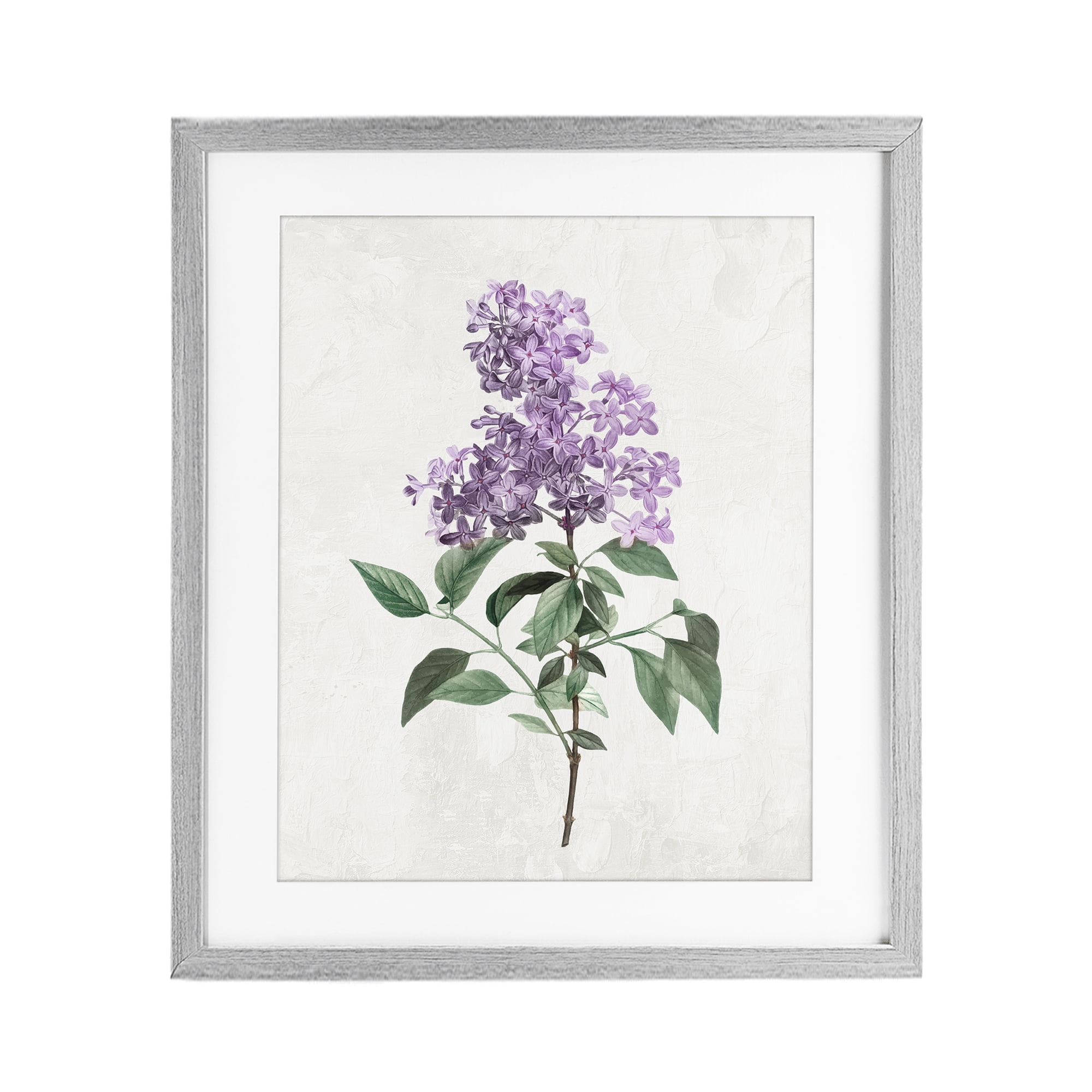 Stupell Industries Lilac Herb Blossoms Gray Framed Print Under Glass, design by Kim Allen