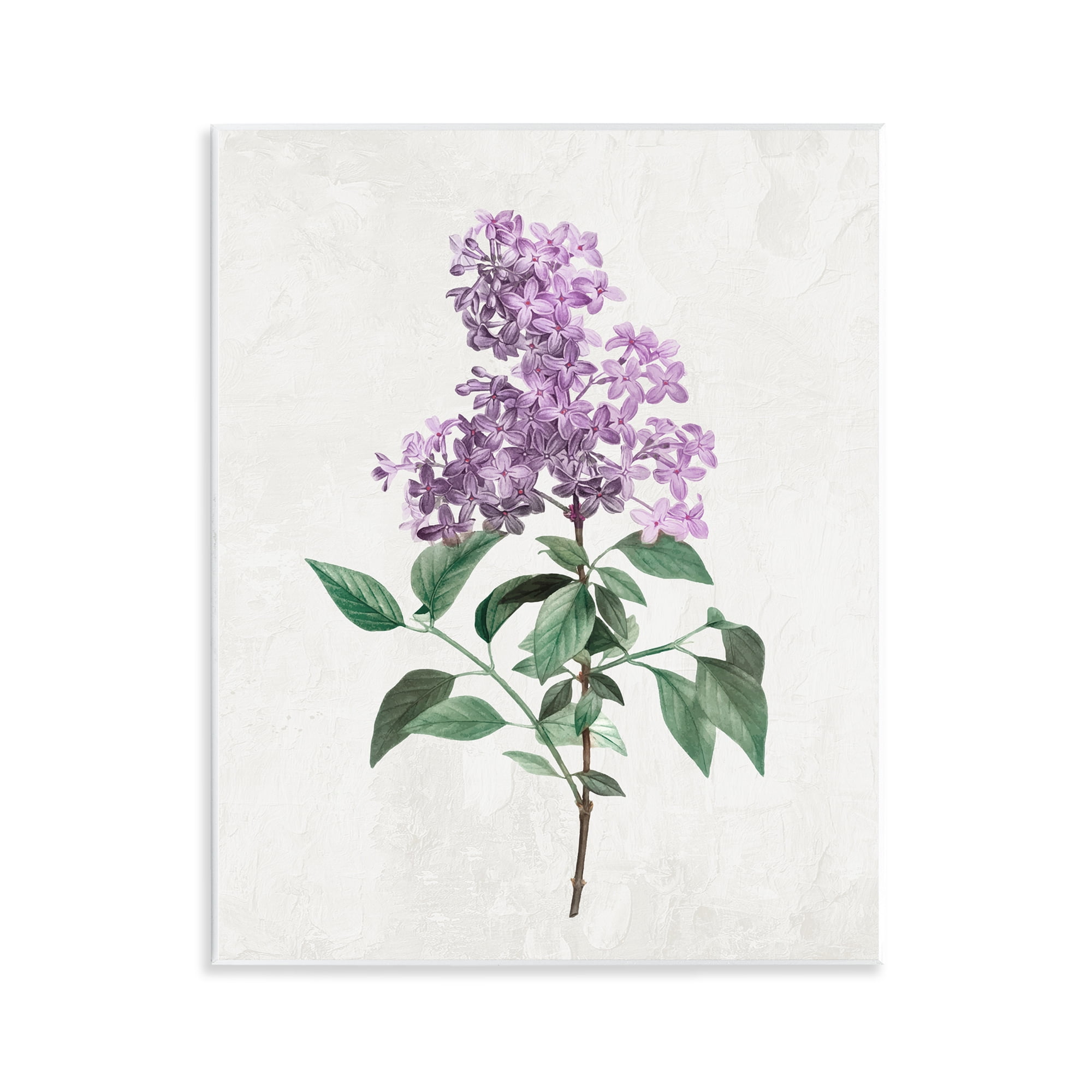 Stupell Industries Lilac Herb Blossoms Wall Plaque Art, design by Kim Allen