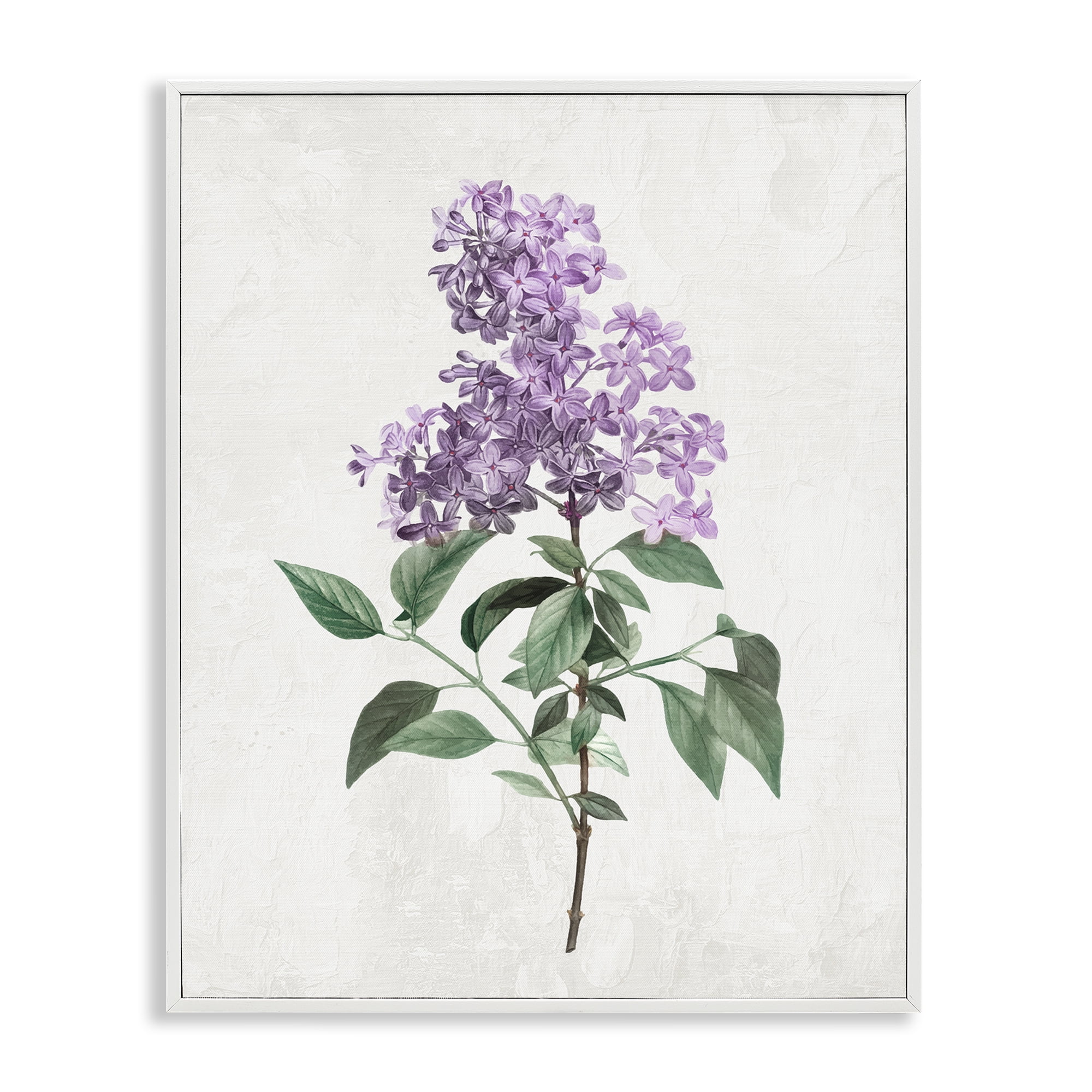 Stupell Industries Lilac Herb Blossoms White Framed Giclee Art, design by Kim Allen