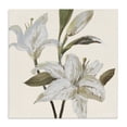 thumbnail image 1 of Stupell Industries Shabby Chic Lilies Soft Beige Canvas Art, 17 x 17, by Lanie Loreth, 1 of 8