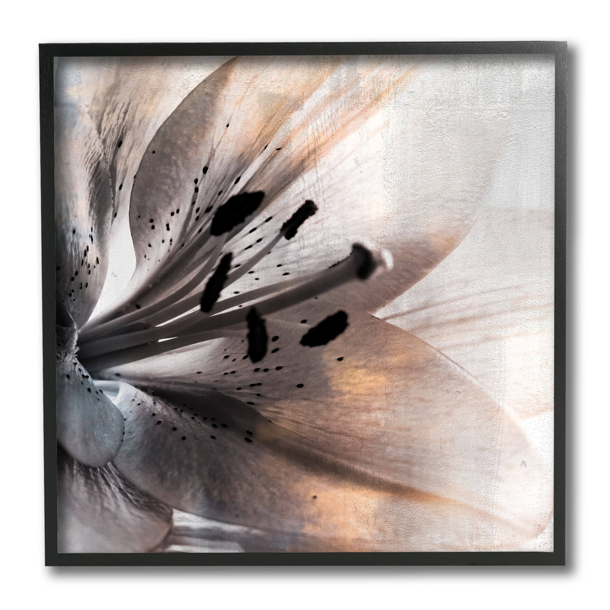Stupell Industries Lily Floral Close Up Black White Petal Detail Photography Black Framed Art Print Wall Art, 12x12, by Kim Allen