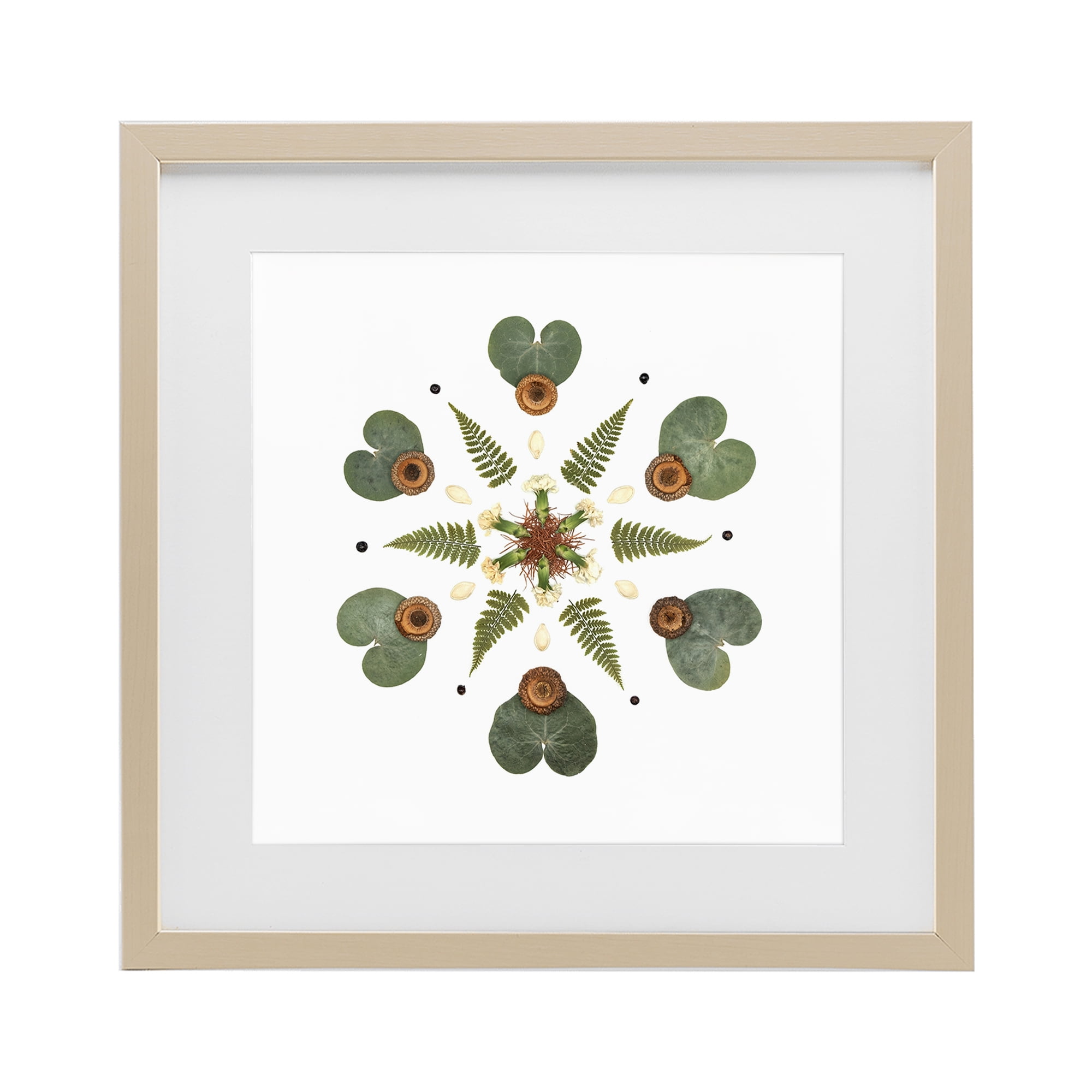Stupell Industries Lily Pad & Fern Mandala Birch Framed Print Under Glass, design by Beth Adoette
