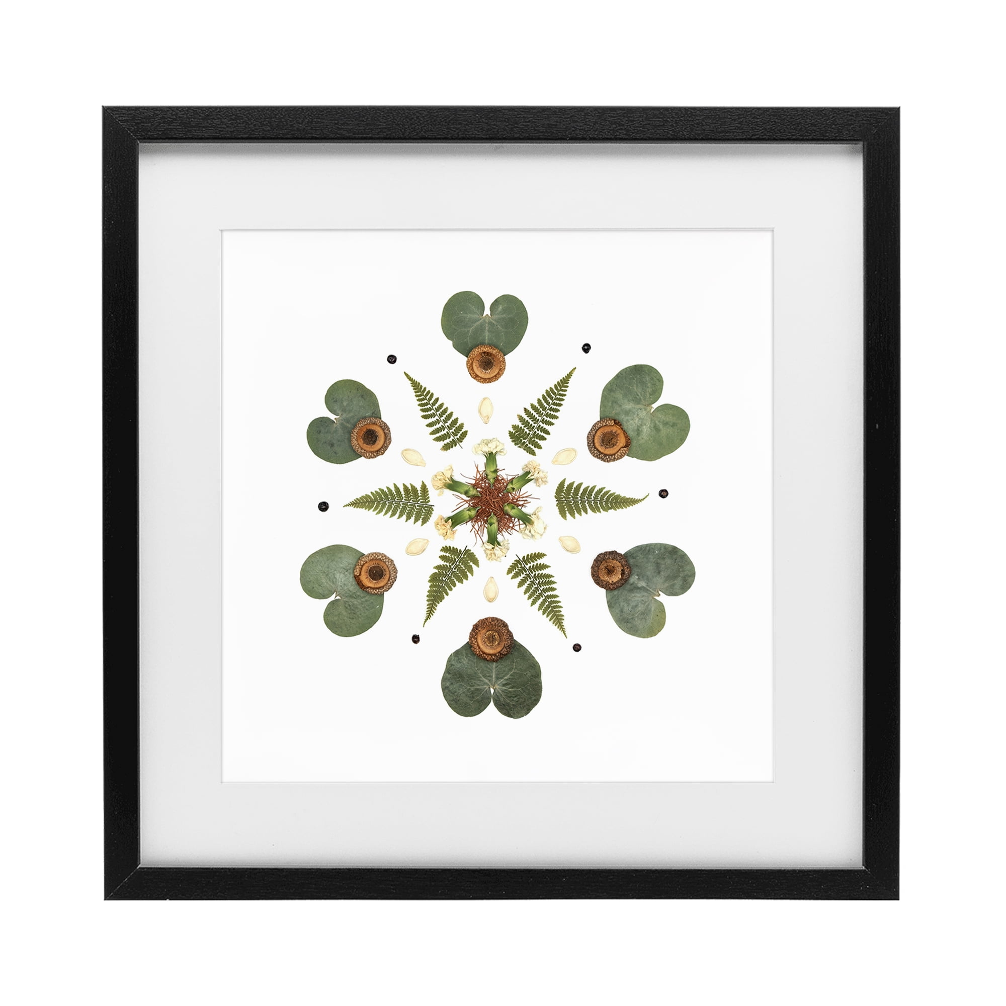 Stupell Industries Lily Pad & Fern Mandala Black Framed Print Under Glass, design by Beth Adoette