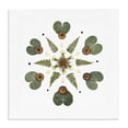 thumbnail image 1 of Stupell Industries Eclectic Lily Pad & Fern Mandala Canvas Art, 17 x 17, by Beth Adoette, 1 of 8