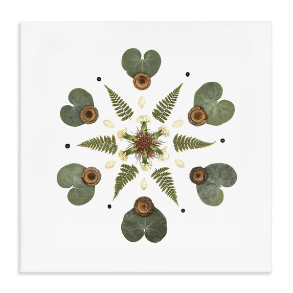 Stupell Industries Eclectic Lily Pad & Fern Mandala Canvas Art, 17 x 17, by Beth Adoette