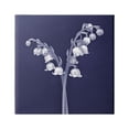 thumbnail image 1 of Stupell Industries Lily of Valley White Drooping Blooms Illustration Painting Gallery Wrapped Canvas Print Wall Art, Design by Graffitee Studios, 1 of 7