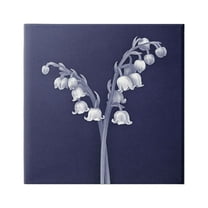 Stupell Industries Lily of Valley White Drooping Blooms Illustration Painting Gallery Wrapped Canvas Print Wall Art, Design by Graffitee Studios