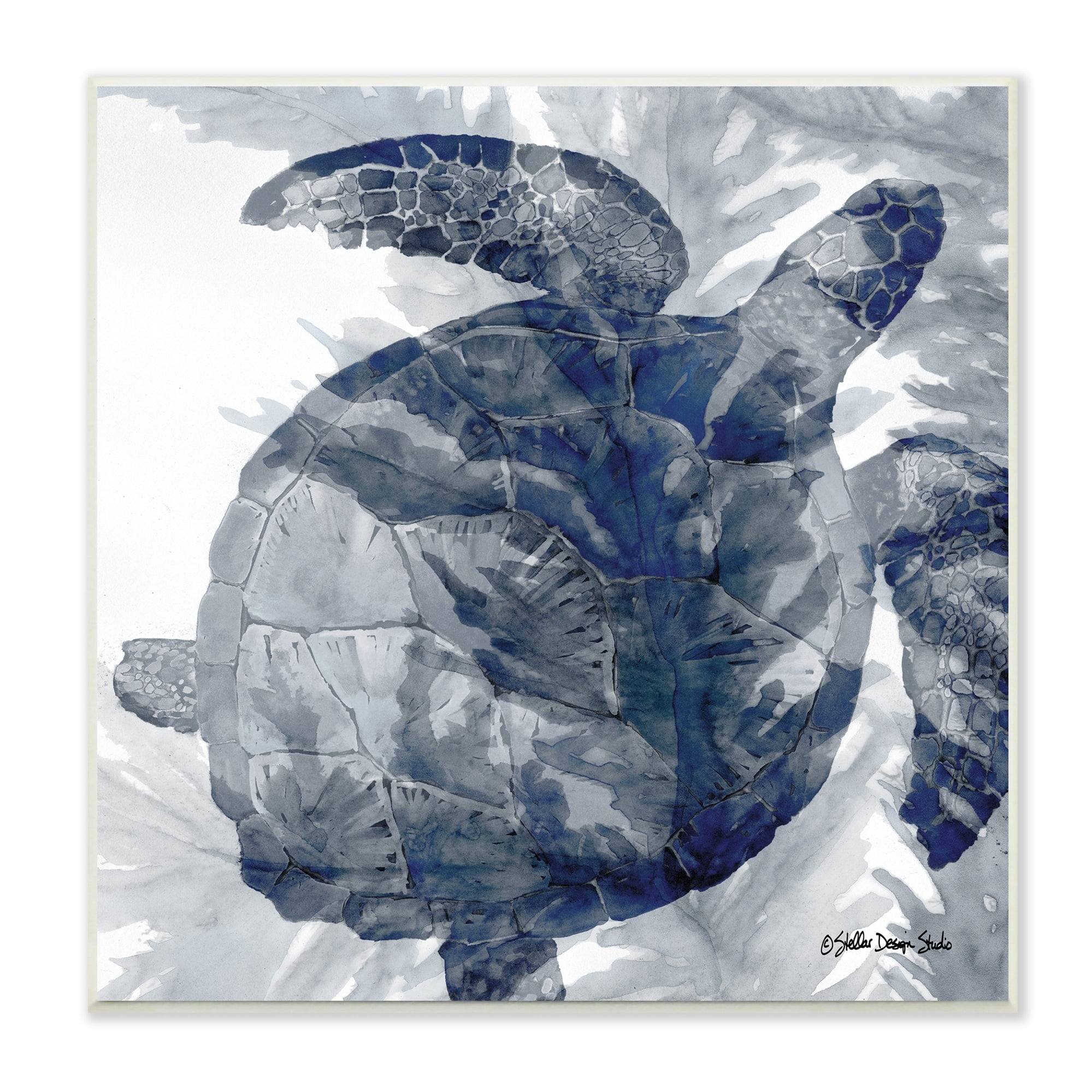 Stupell Industries Lingering Sea Turtle Overlapping Seaweed Reptile Watercolor Painting,12 x 12, Design by Stellar Design Studio