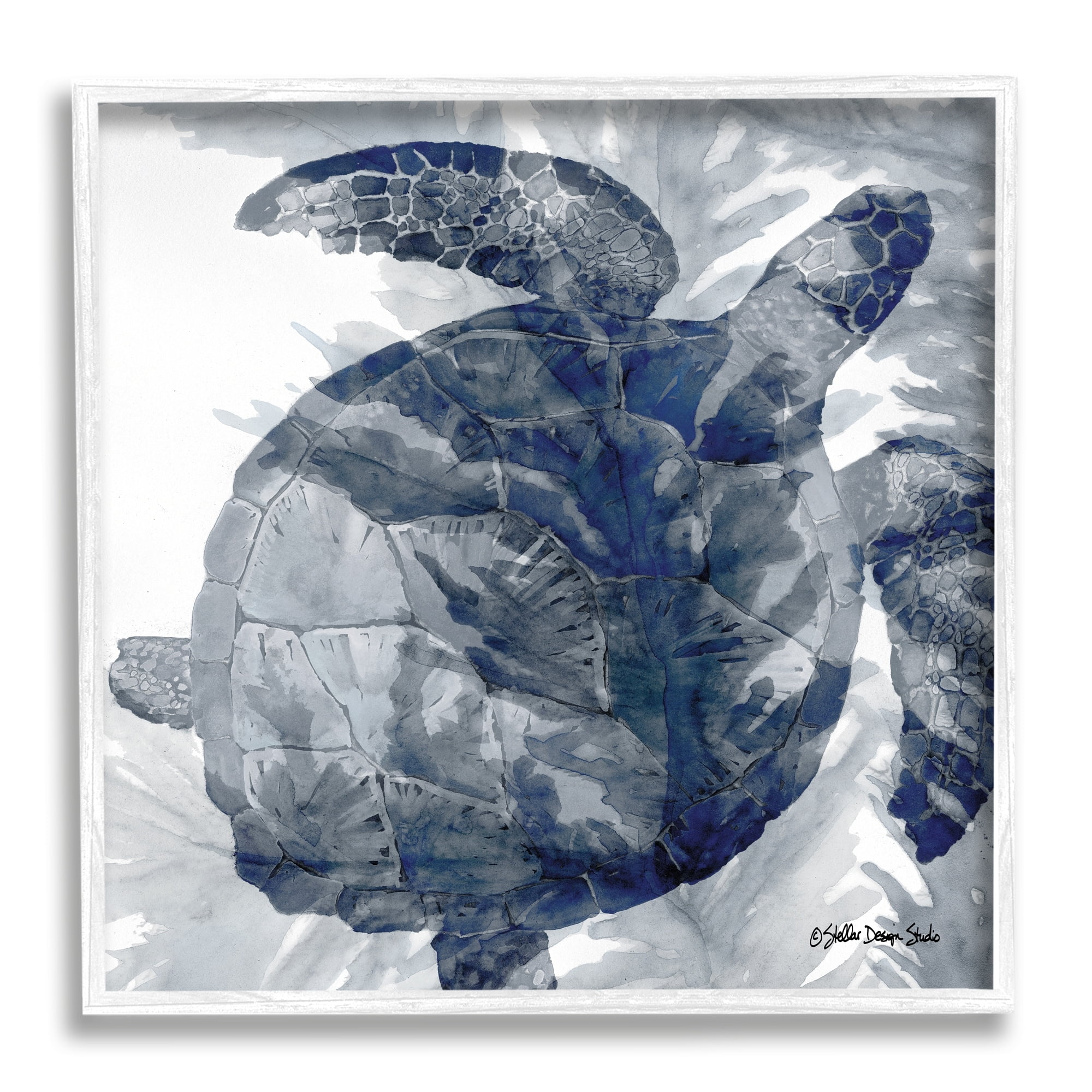 Stupell Industries Lingering Sea Turtle Overlapping Seaweed Reptile Watercolor Painting,24 x 24, Design by Stellar Design Studio