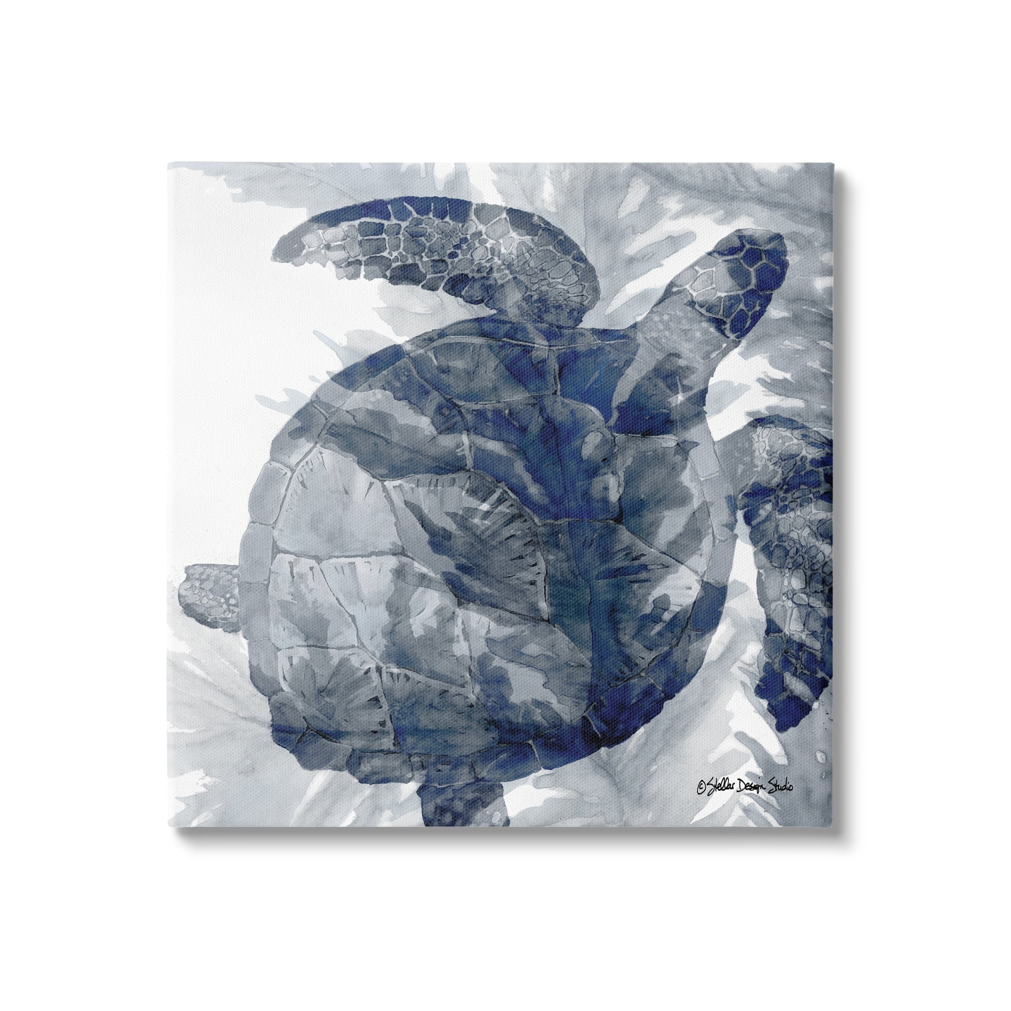Stupell Industries Lingering Sea Turtle Overlapping Seaweed Reptile Watercolor Painting,36 x 36, Design by Stellar Design Studio