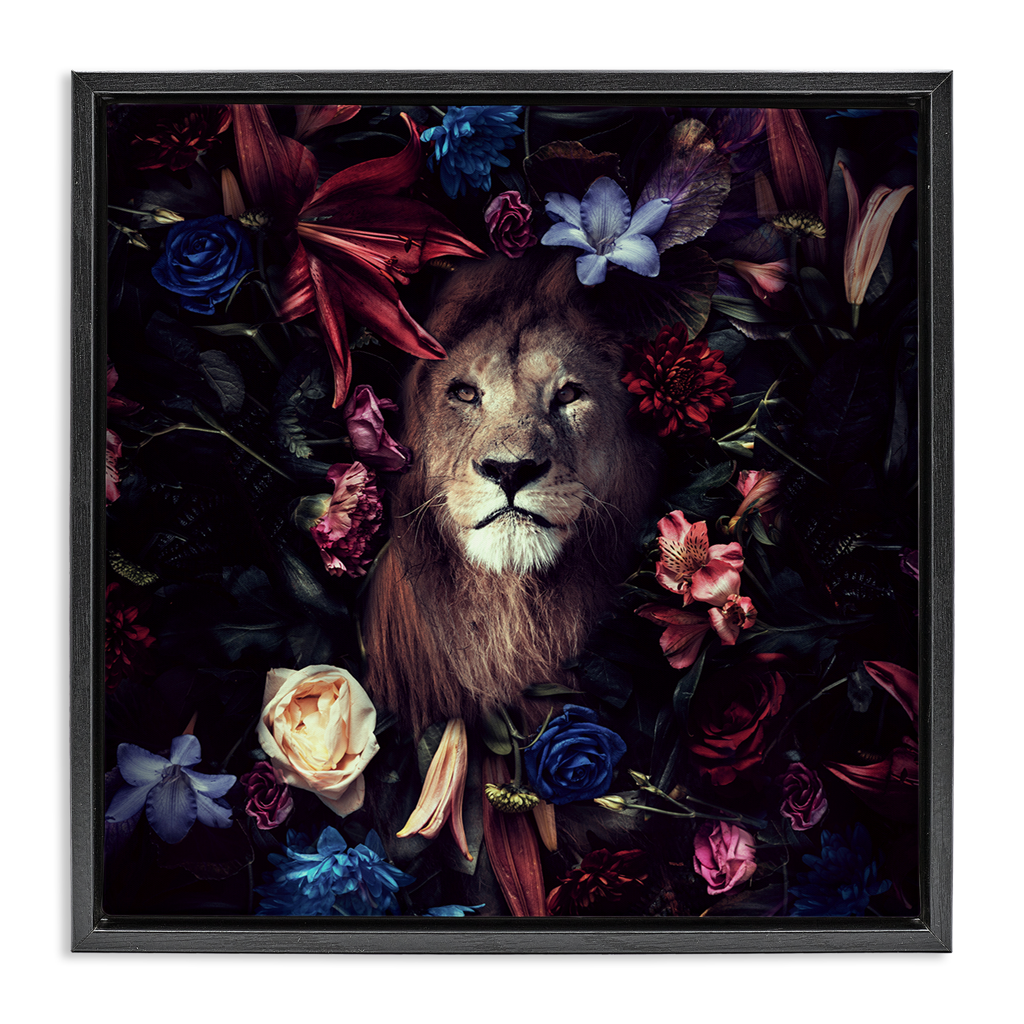 Stupell Industries Lion & Dark Blooms Animals Painting Black Floater Framed Canvas Art Print Wall Art, 25 x 25
