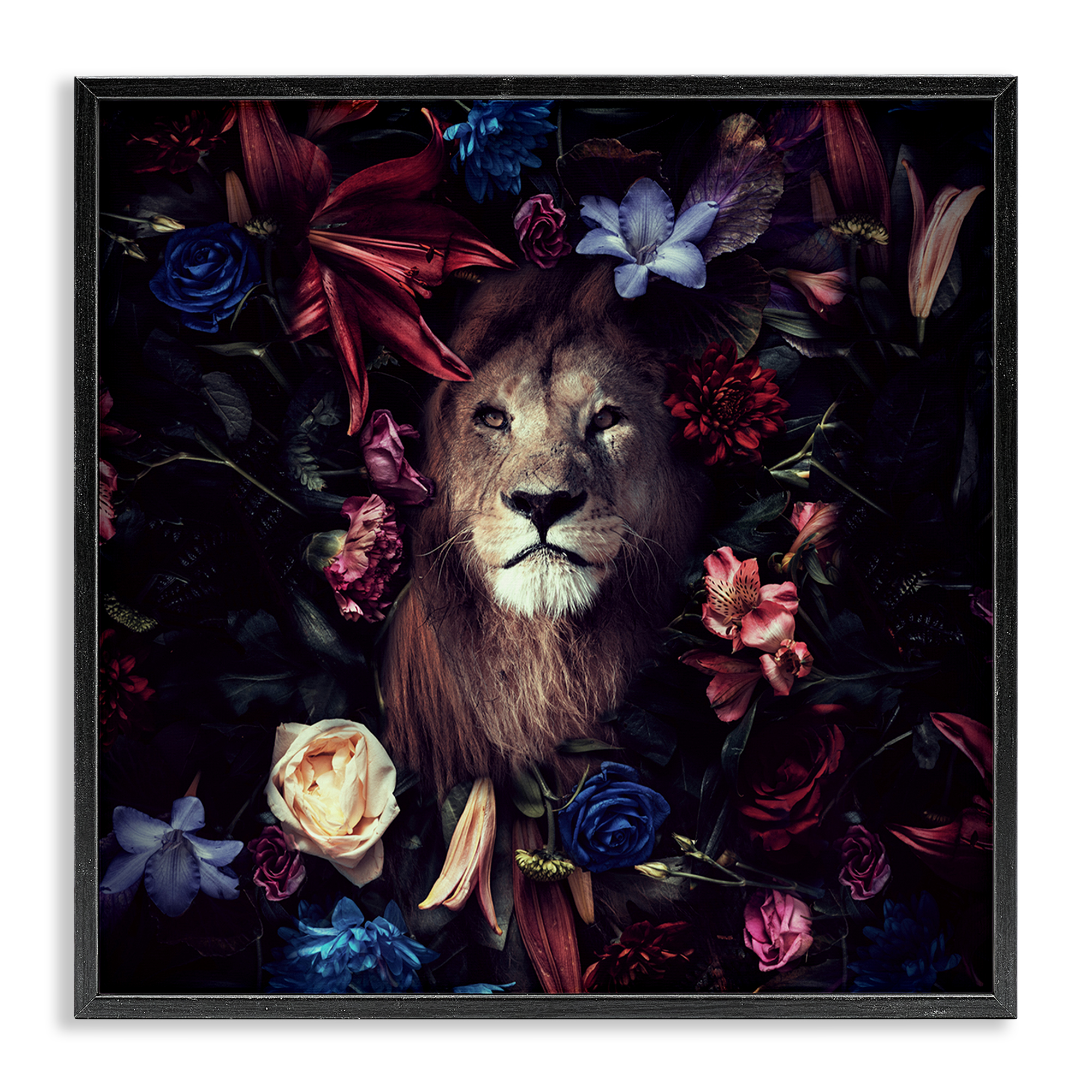 Stupell Industries Lion & Dark Blooms Animals Painting Black Framed Art Print Wall Art, 17 x 17