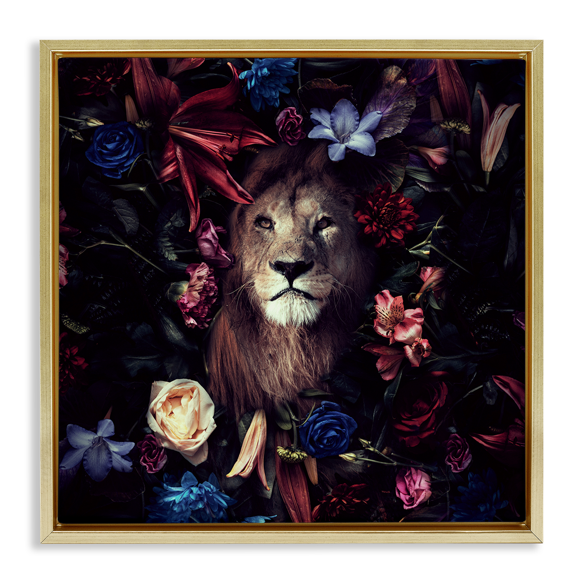Stupell Industries Lion & Dark Blooms Animals Painting Gold Floater Framed Canvas Art Print Wall Art, 25 x 25