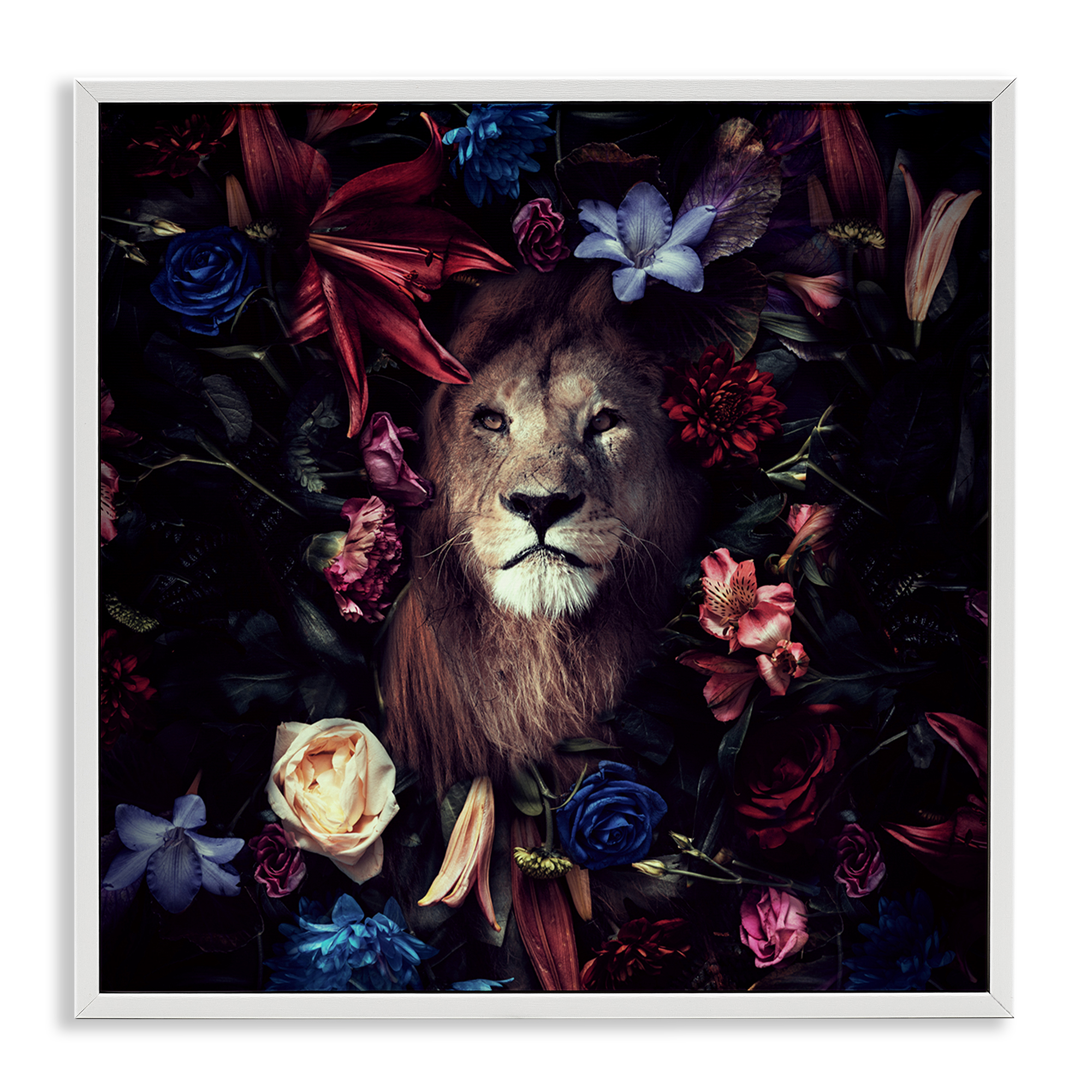 Stupell Industries Lion & Dark Blooms Animals Painting White Framed Art Print Wall Art, 12 x 12