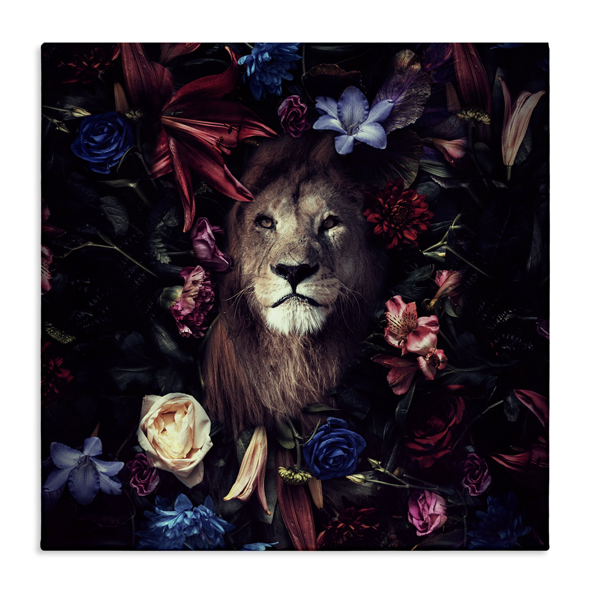 Stupell Industries Lion & Dark Blooms Animals Painting Wrapped Canvas Art Print Wall Art, 30 x 30