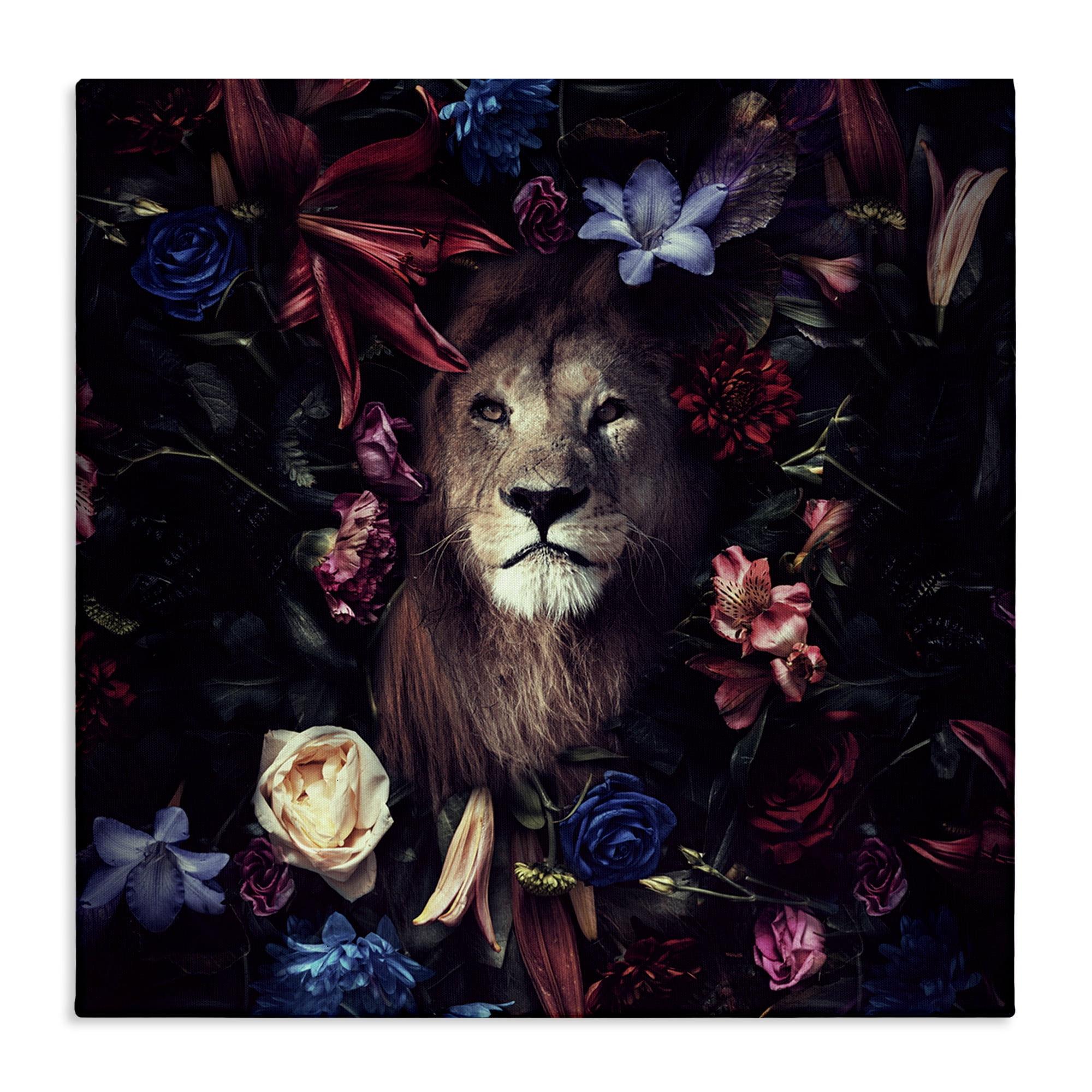 Stupell Industries Lion & Dark Blooms Animals Painting Wrapped Canvas Art Print Wall Art, 36 x 36