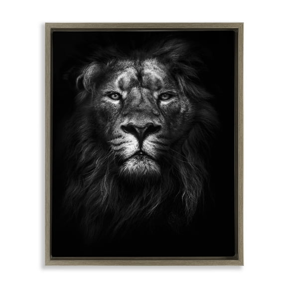 Stupell Industries Lion In Shadows Photography Animals & Insects Photography Brown Floater Framed Canvas Art Print Wall Art, 17 x 21