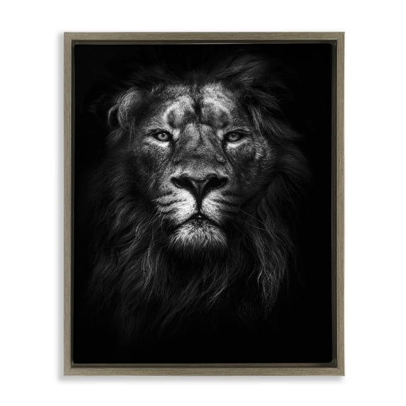 Stupell Industries Lion In Shadows Photography Animals & Insects Photography Brown Floater Framed Canvas Art Print Wall Art, 25 x 31