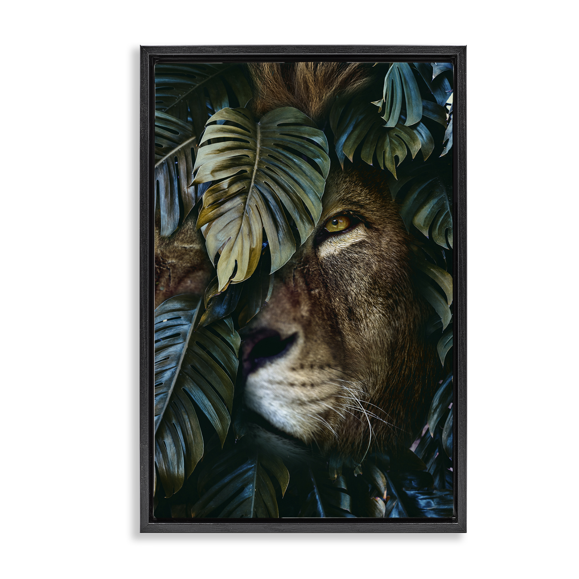 Stupell Industries Lion Peering Monstera Leaves Plants & Flowers Painting Black Floater Framed Canvas Art Print Wall Art, 21 x 31