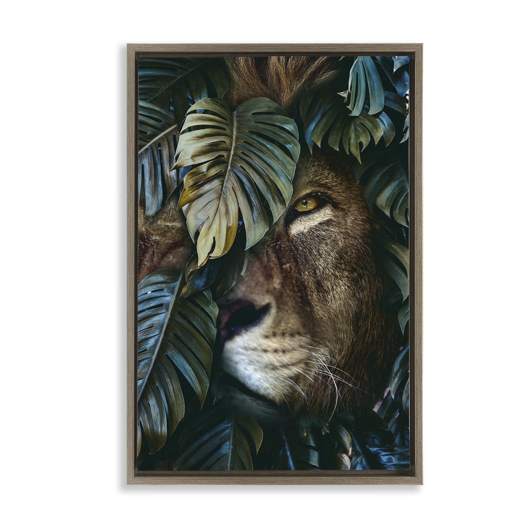 Stupell Industries Lion Peering Monstera Leaves Plants & Flowers Painting Brown Floater Framed Canvas Art Print Wall Art, 17 x 25