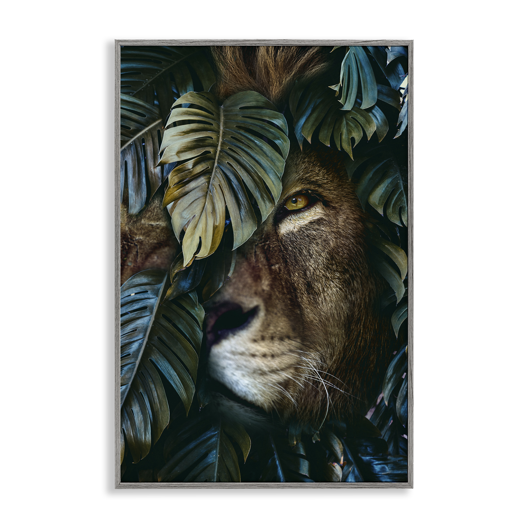 Stupell Industries Lion Peering Monstera Leaves Plants & Flowers Painting Gray Framed Art Print Wall Art, 20 x 30