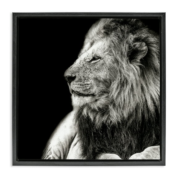 Stupell Industries Lion Portrait on Black Animals Photography Black Floater Framed Canvas Art Print Wall Art, 18 x 18