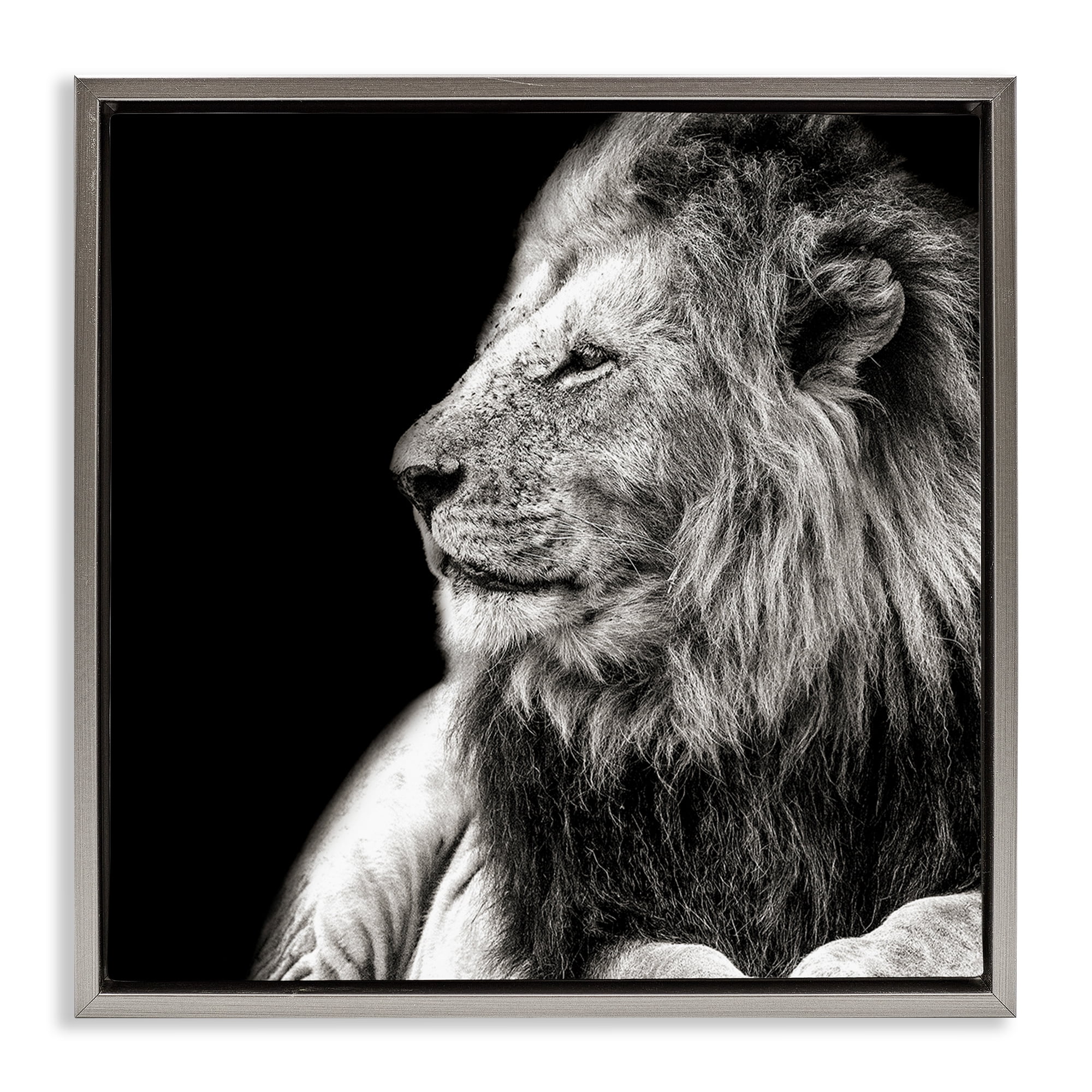 Stupell Industries Lion Portrait on Black Animals Photography Gray Floater Framed Canvas Art Print Wall Art, 18 x 18