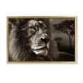 thumbnail image 1 of Stupell Industries Lion Portrait over Savanna Animals Photography Gold Floater Framed Canvas Art Print Wall Art, 25 x 17, 1 of 9