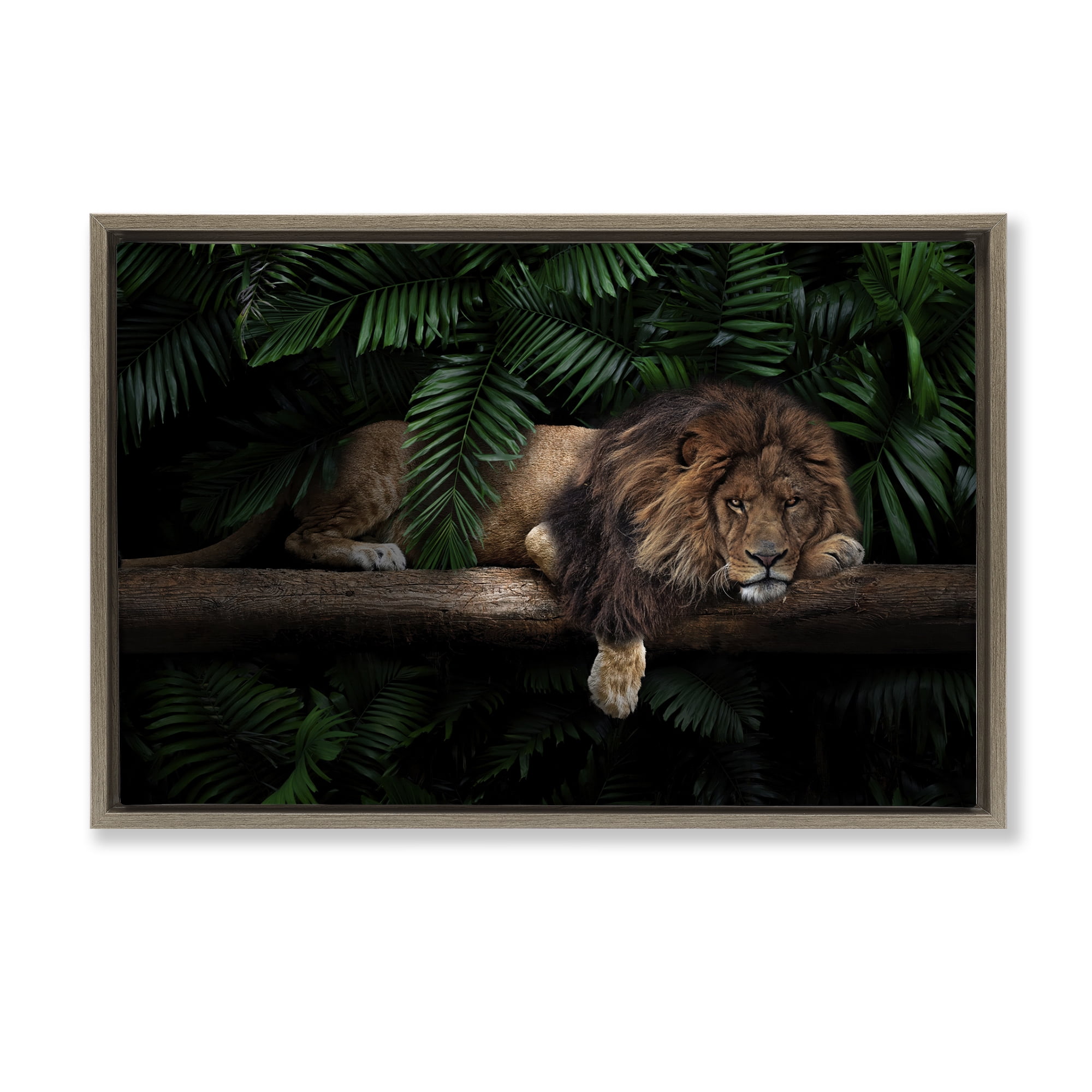 Stupell Industries Lion on Tropical Branch Animals Painting Brown Floater Framed Canvas Art Print Wall Art, 31 x 21
