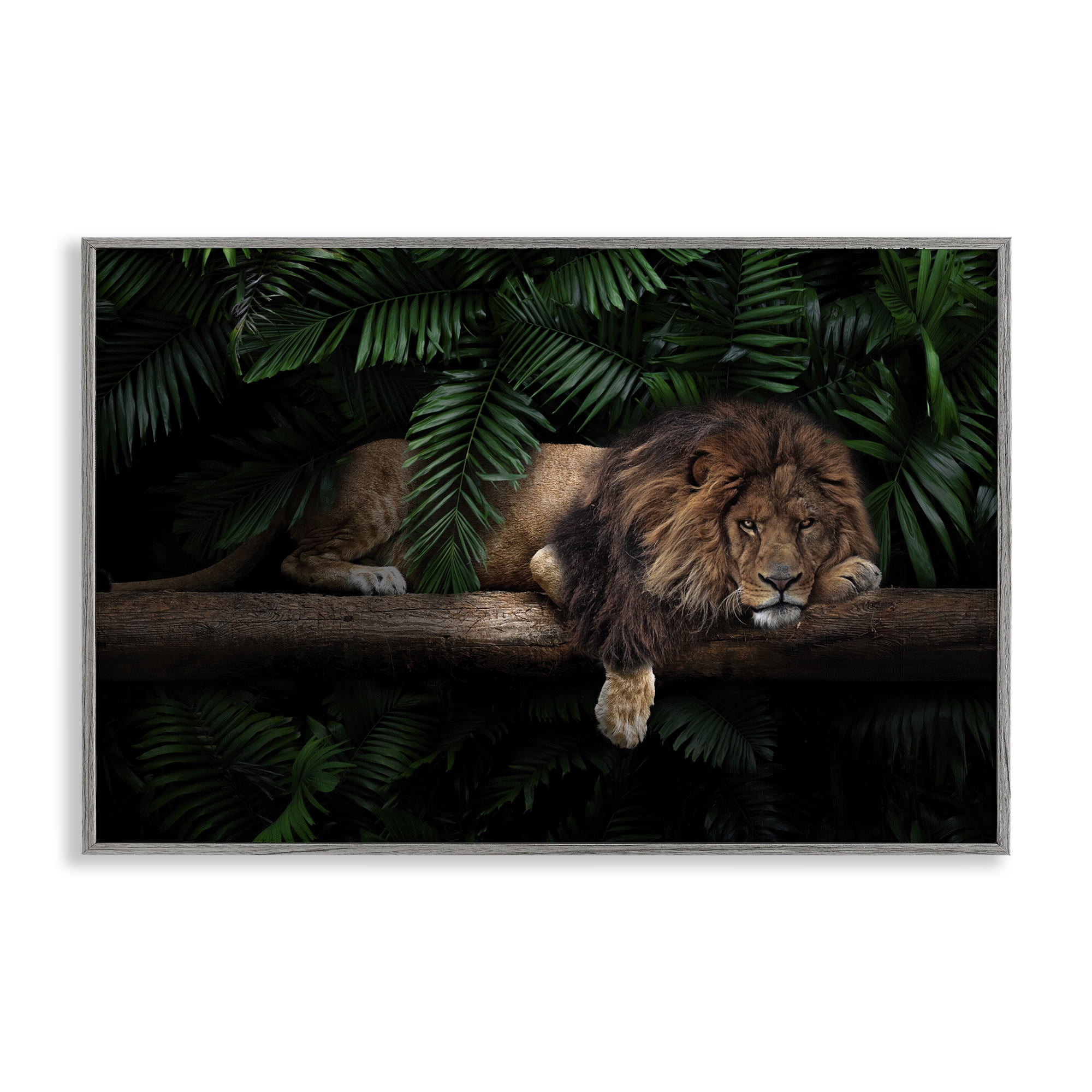 Stupell Industries Lion on Tropical Branch Animals Painting Gray Framed Art Print Wall Art, 30 x 20