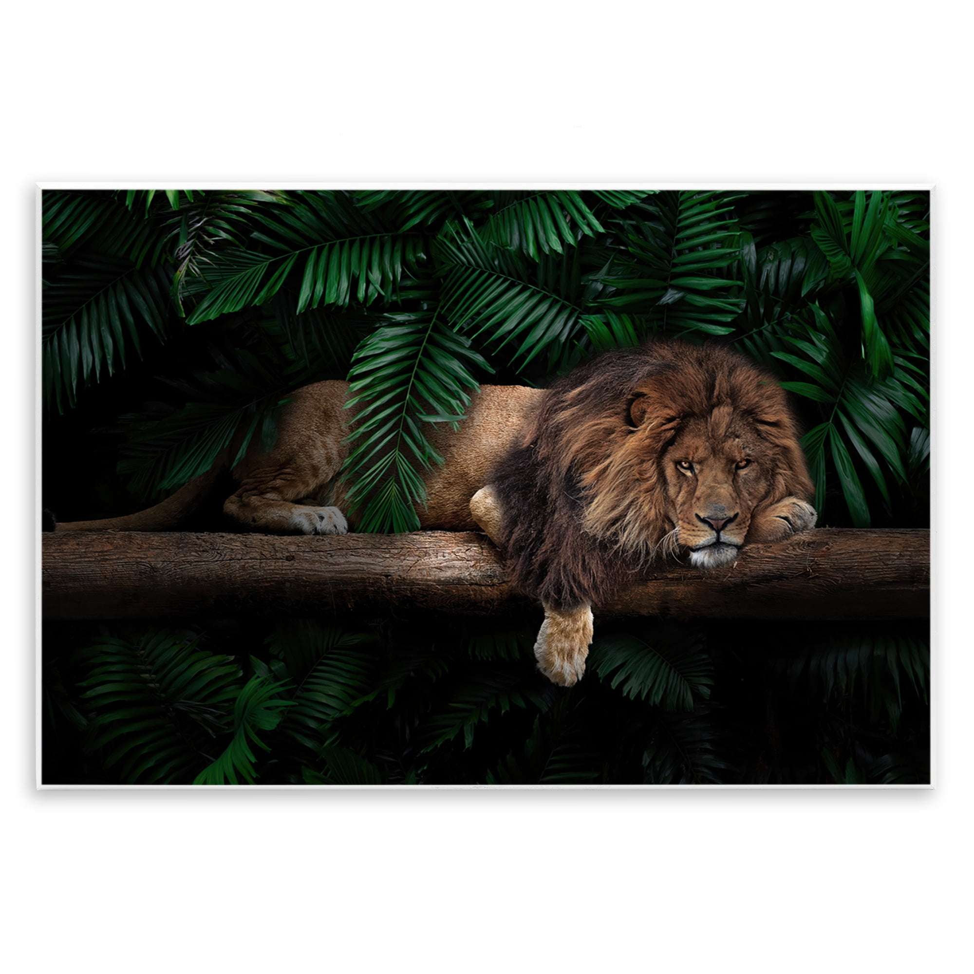 Stupell Industries Lion on Tropical Branch Animals Painting Unframed Art Print Wall Art, 19 x 13