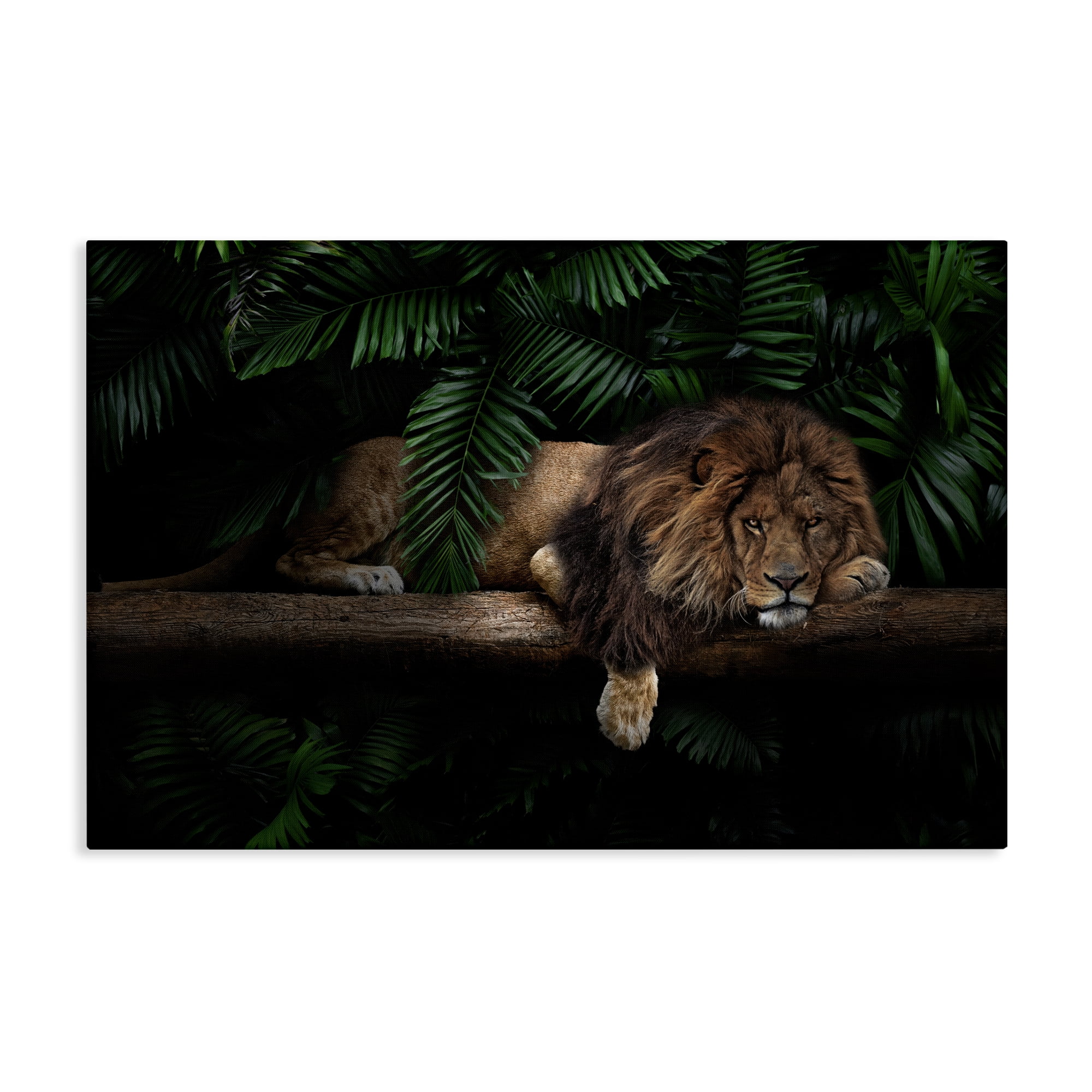 Stupell Industries Lion on Tropical Branch Animals Painting Wrapped Canvas Art Print Wall Art, 30 x 20