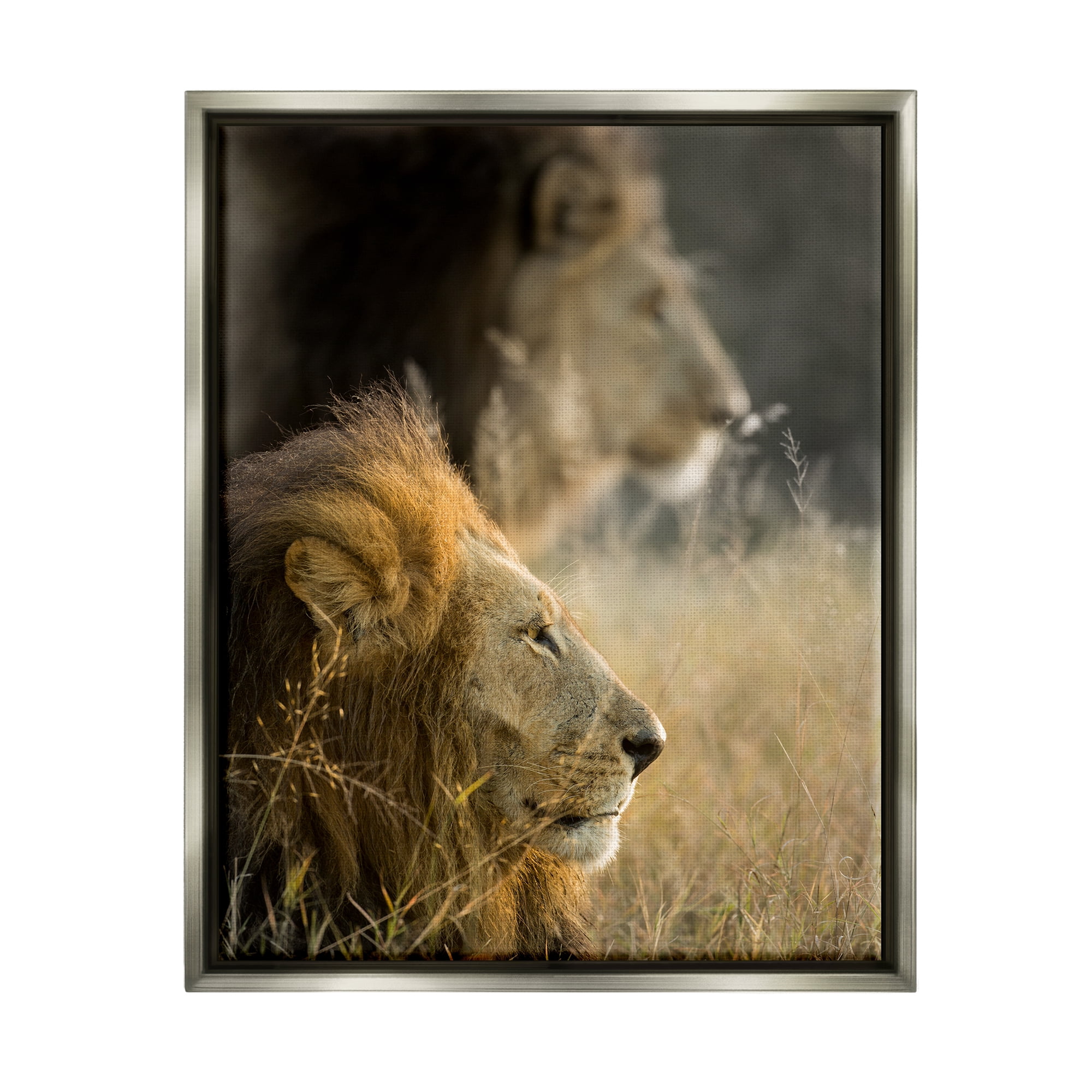 Stupell Industries Lions Lounging Savanna Photography Animals & Insects Photography Gray Floater Framed Art Print Wall Art