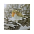 thumbnail image 1 of Stupell Industries Little Bird Perched Detailed Snow Covered Twigs Painting Gallery Wrapped Canvas Print Wall Art, Design by Alan Weston, 1 of 5