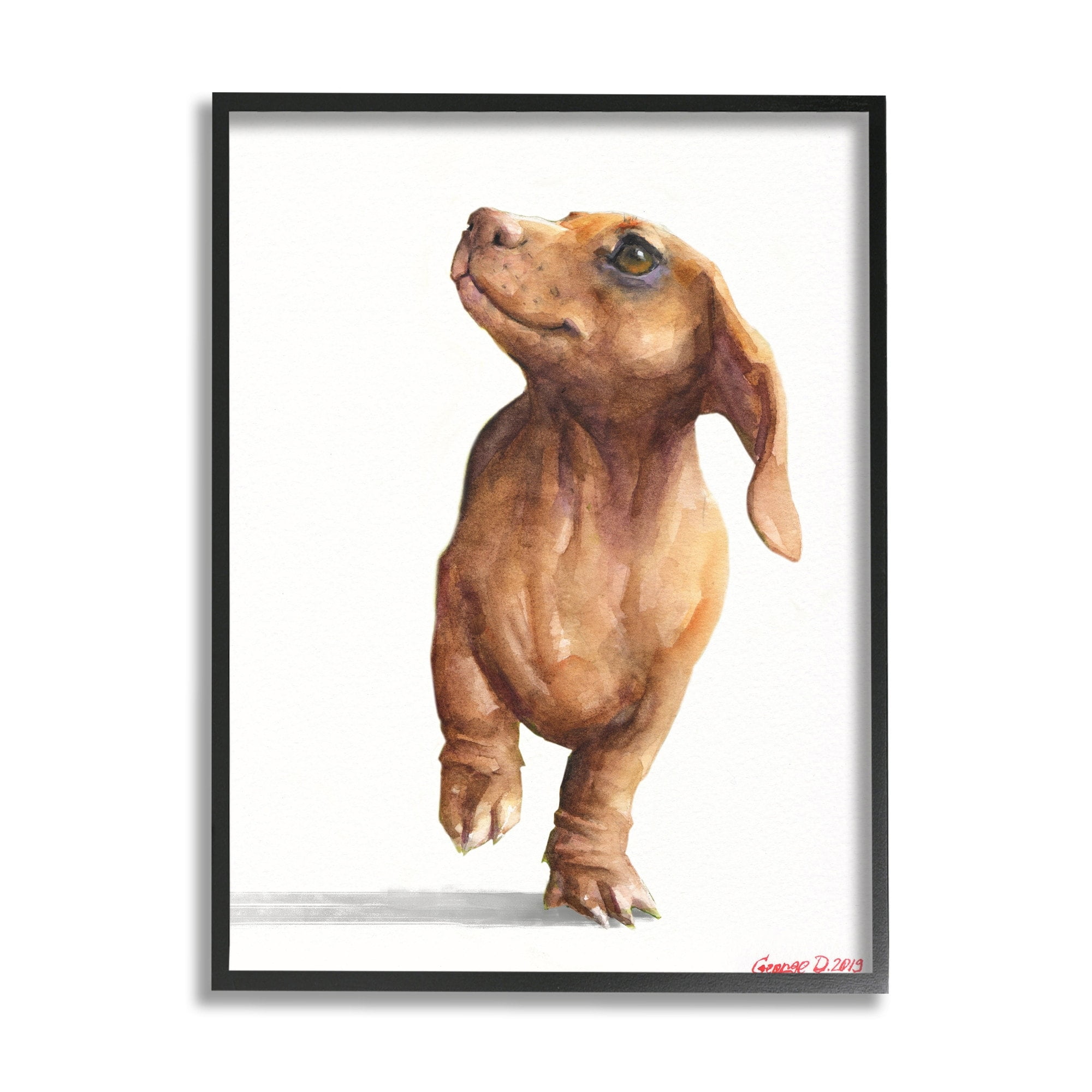 Stupell Industries Little Dachshund Dog Strutt Adorable Pet Portrait Black Framed, 16 x 20, Design by George Dyachenko