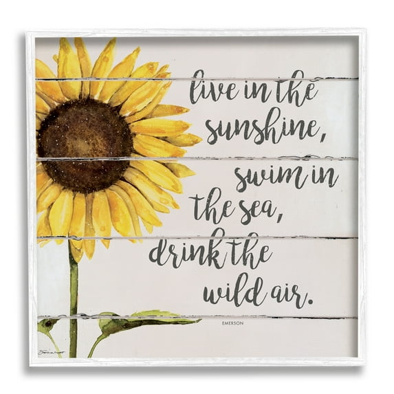 Stupell Industries Live In Sunshine Drink Wild Air Phrase Sunflower, 12 x 12, Design by Stephanie Workman Marrott