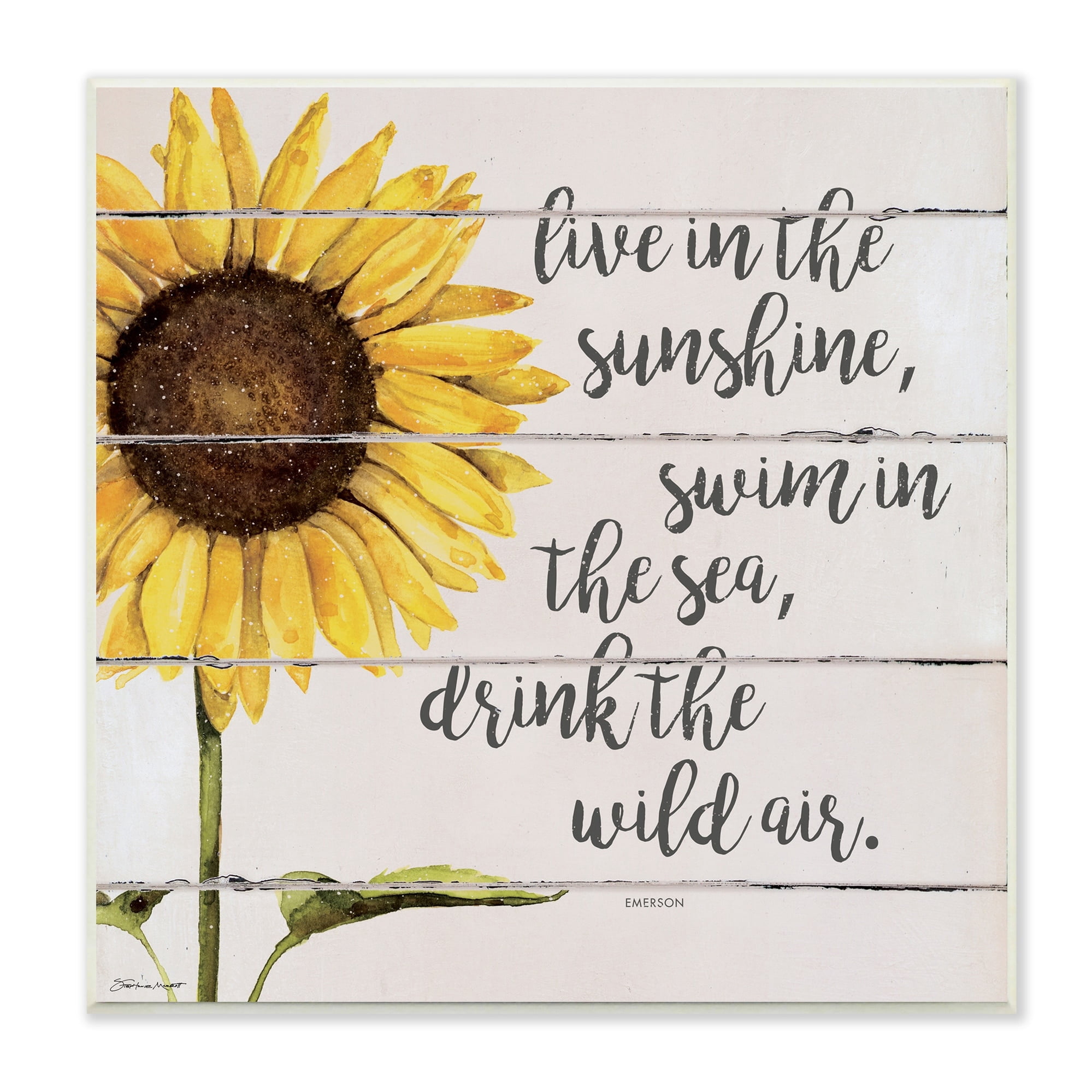 Stupell Industries Live In Sunshine Drink Wild Air Phrase Sunflower, 12 x 12, Design by Stephanie Workman Marrott