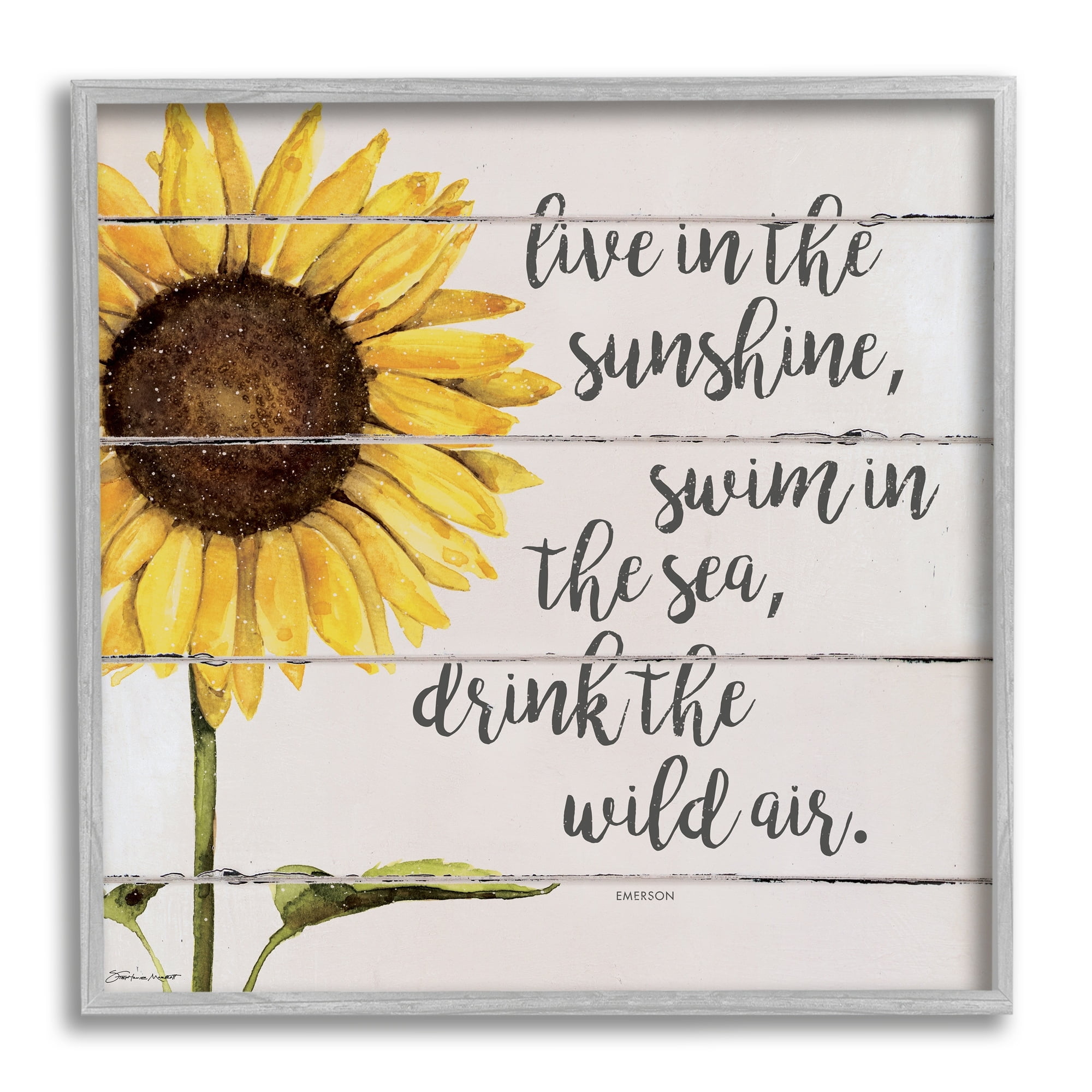 Stupell Industries Live In Sunshine Drink Wild Air Phrase Sunflower, 24 x 24, Design by Stephanie Workman Marrott