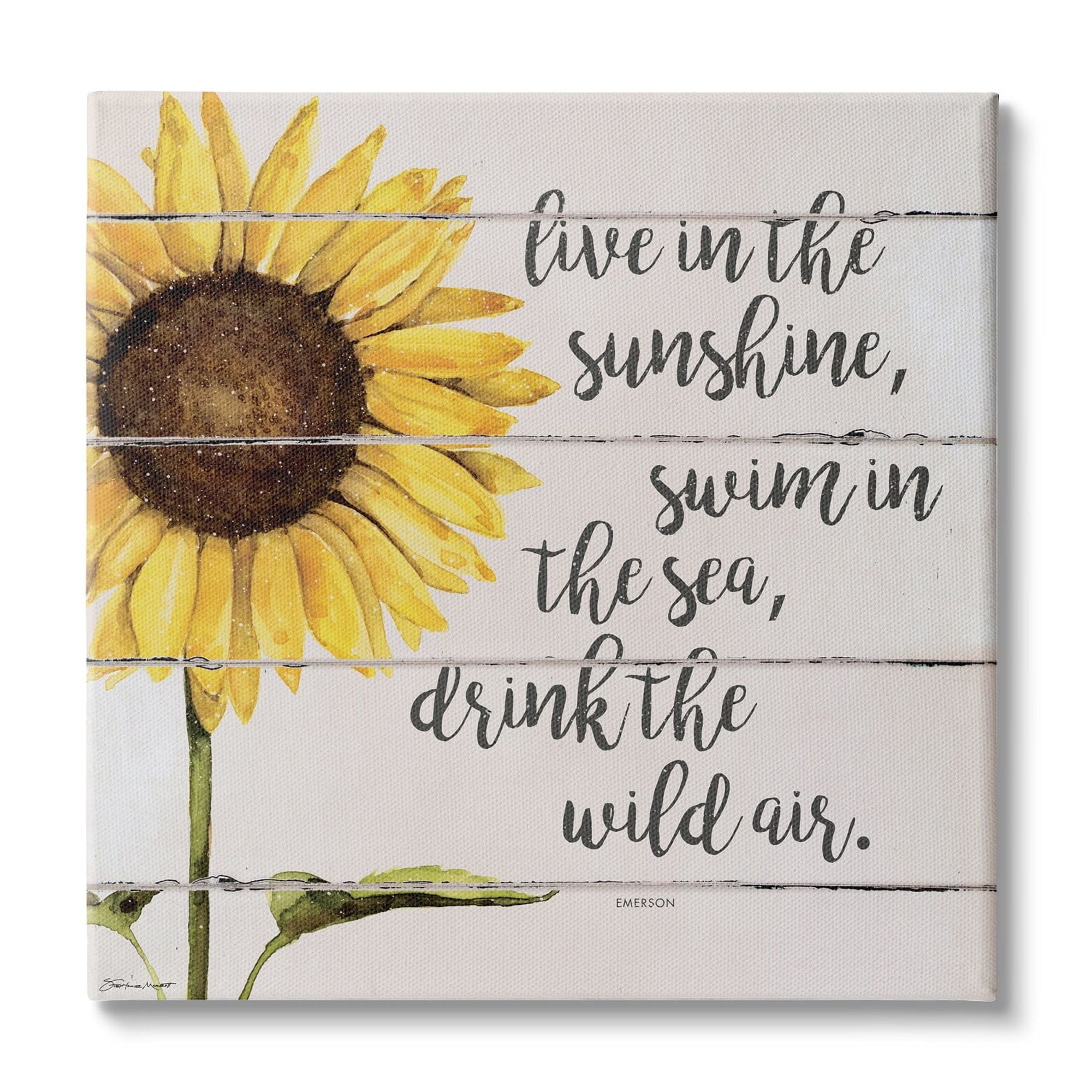 Stupell Industries Live In Sunshine Drink Wild Air Phrase Sunflower, 30 x 30, Design by Stephanie Workman Marrott