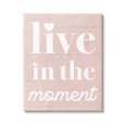 thumbnail image 1 of Stupell Industries Live In The Moment Phrase Graphic Art Gallery Wrapped Canvas Print Wall Art, Design by Lil' Rue, 1 of 7
